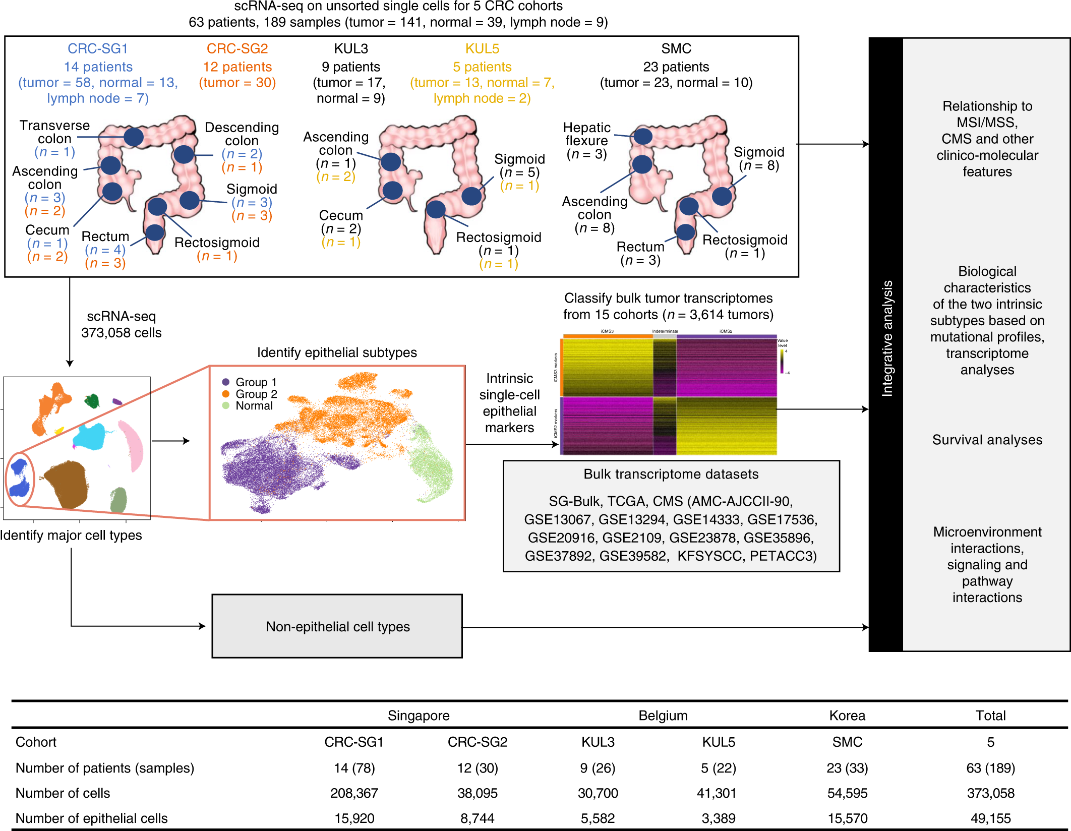 Single-cell and bulk transcriptome sequencing identifies two epithelial  tumor cell states and refines the consensus molecular classification of  colorectal cancer | Nature Genetics