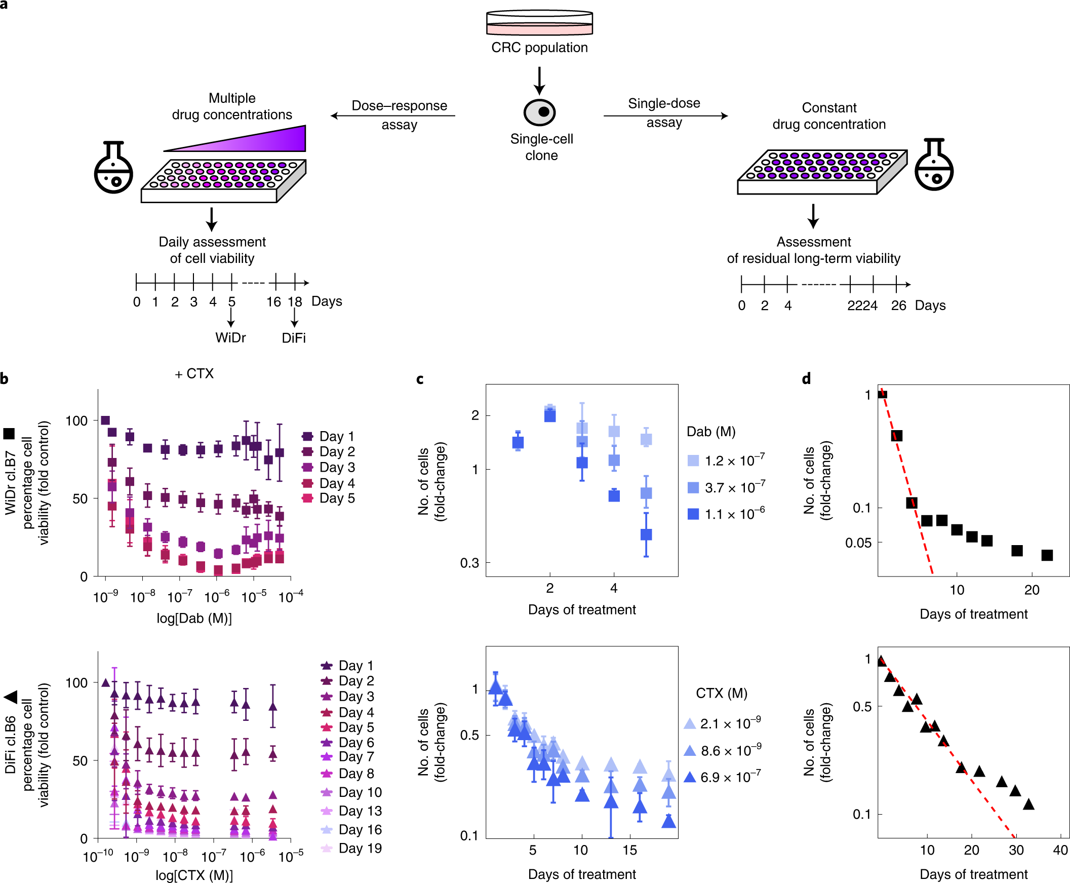 A modified fluctuation-test framework characterizes the population dynamics  and mutation rate of colorectal cancer persister cells | Nature Genetics
