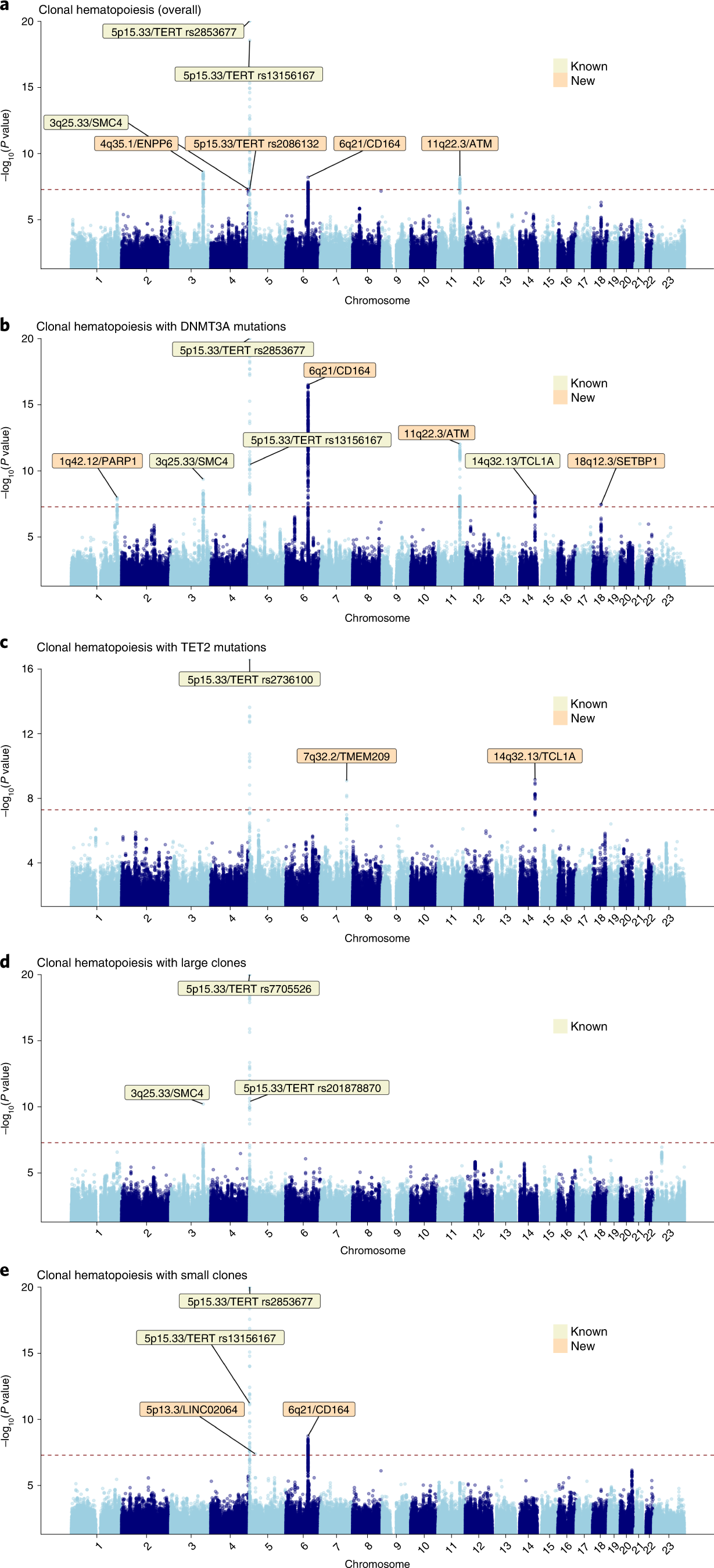 Fig. 4: Manhattan plots displaying genome-wide associations between common germline genetic variants and each of five CH traits.