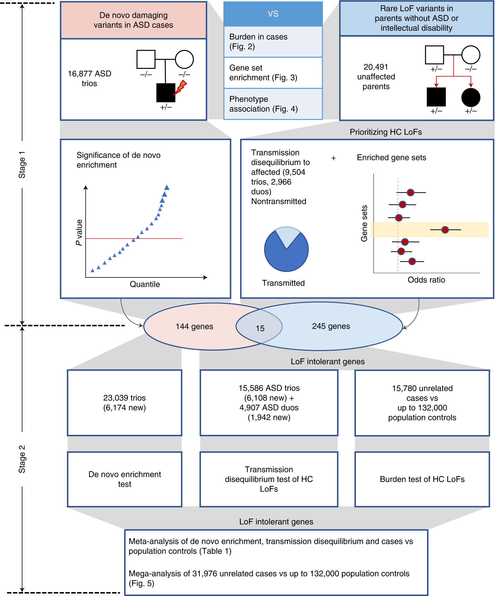 Integrating de novo and inherited variants in 42,607 autism cases  identifies mutations in new moderate-risk genes | Nature Genetics