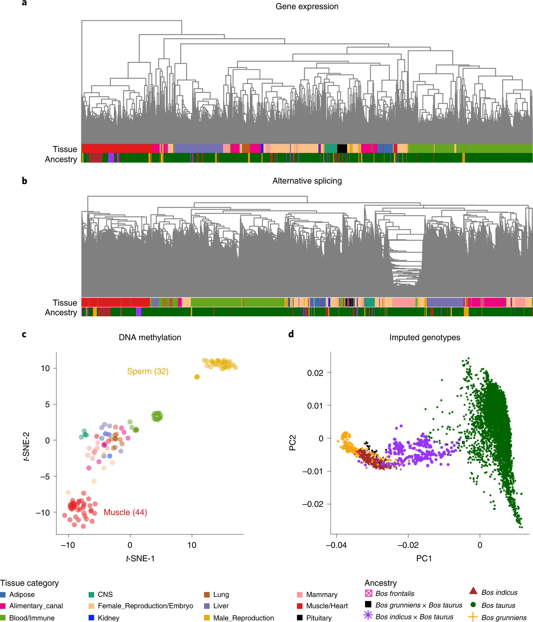 The GTEx Consortium atlas of genetic regulatory effects across human  tissues