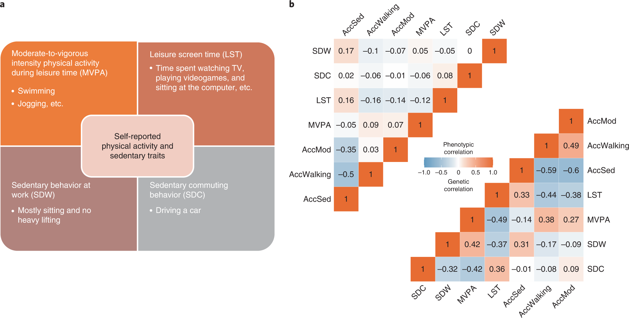 Genome-wide association analyses of physical activity and sedentary behavior provide insights into underlying mechanisms and roles in disease prevention Nature Genetics