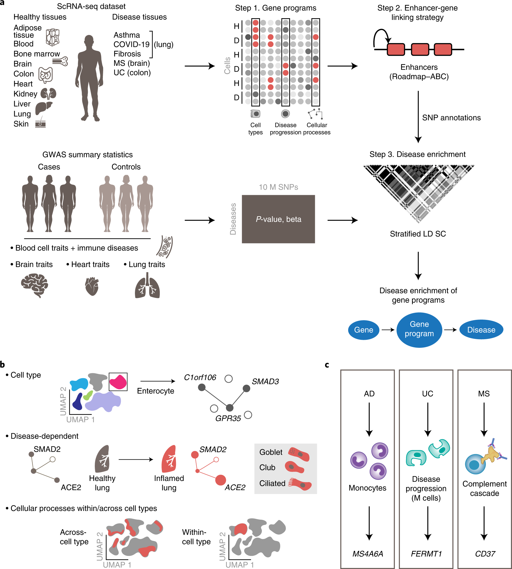 Single-Cell Epigenomics and Functional Fine-Mapping of
