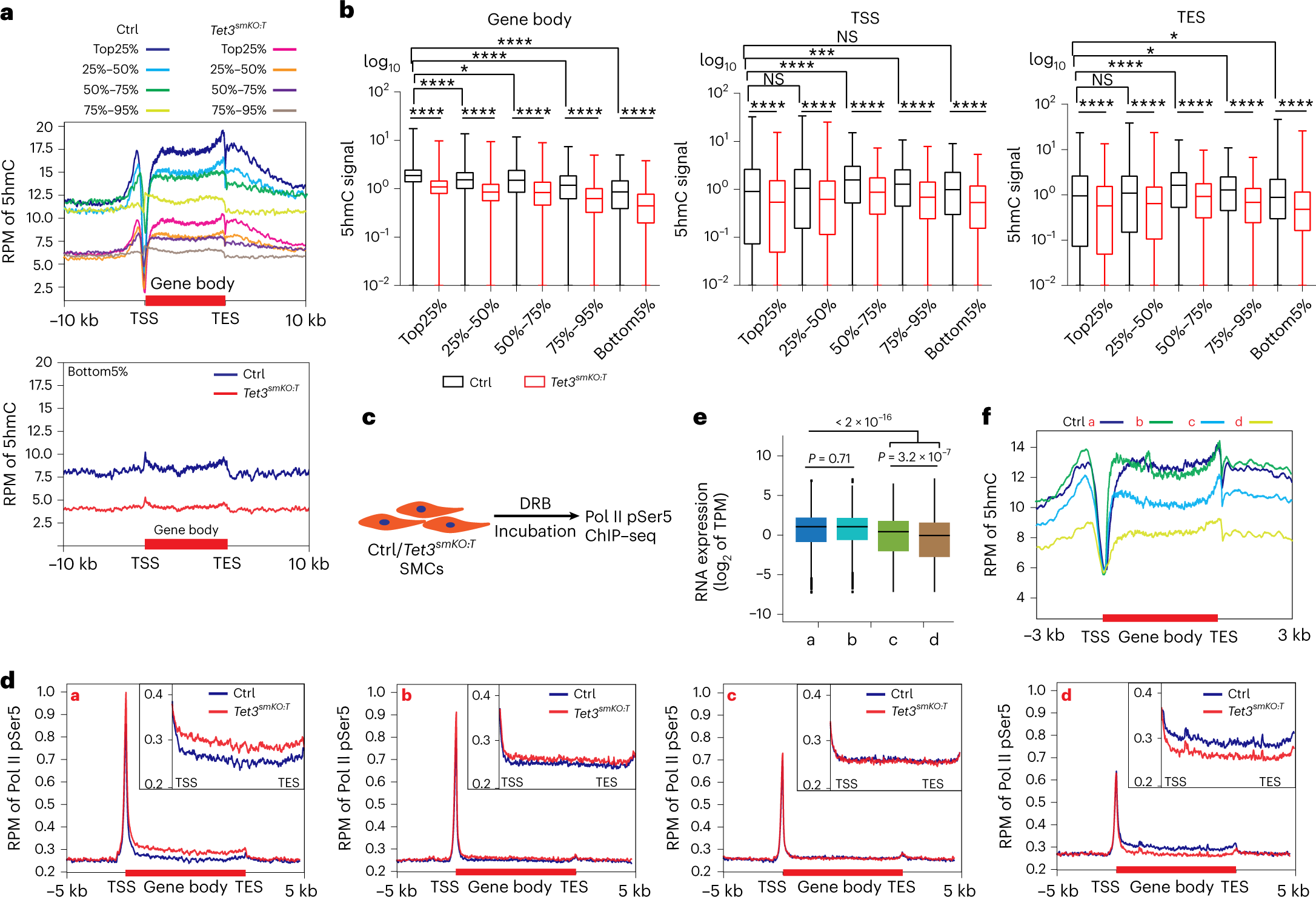 Fig. 2: Tet3 inhibits aberrant entry of Pol II into gene bodies with high 5hmC content.