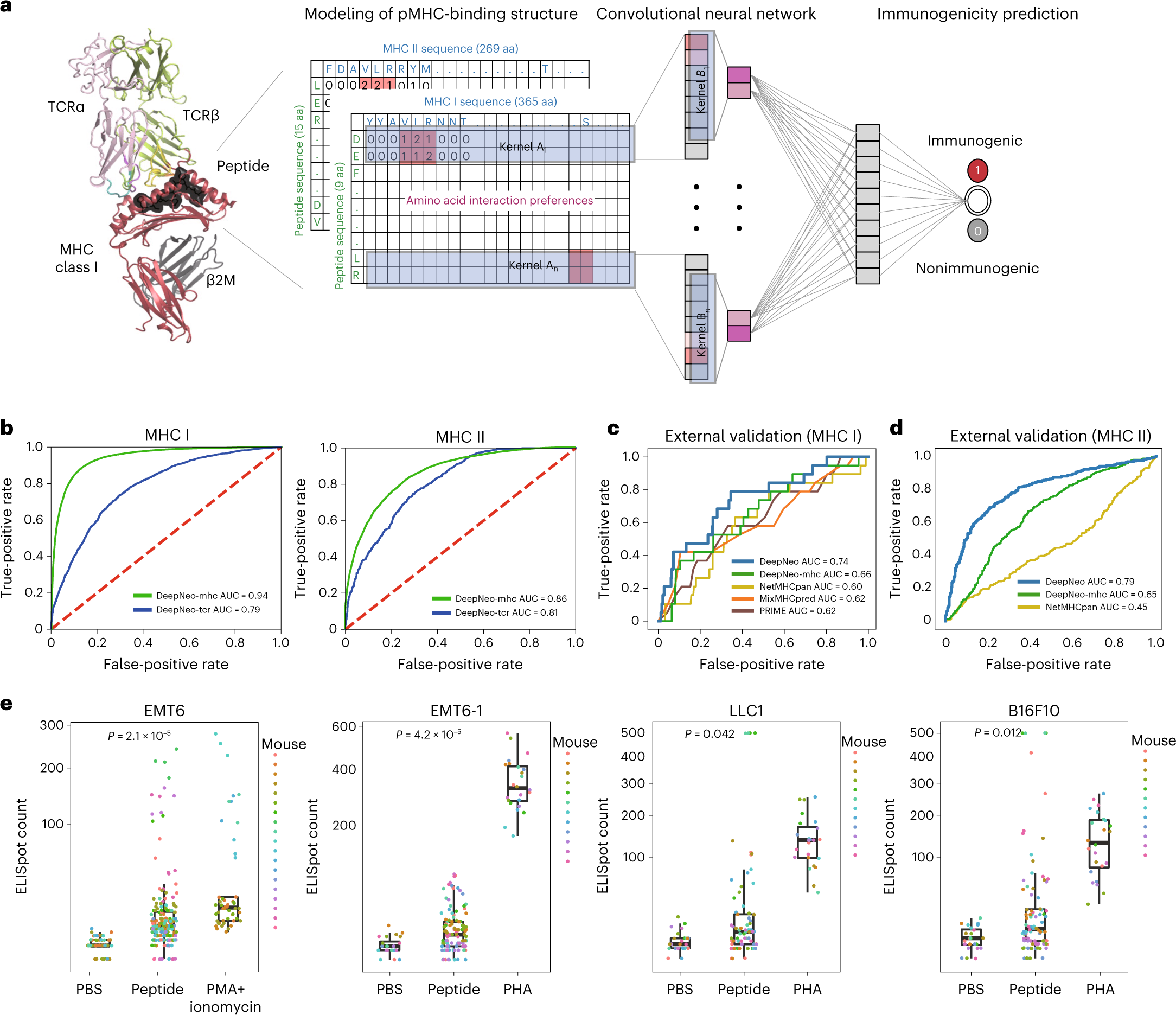 MHC II immunogenicity shapes the neoepitope landscape in human tumors |  Nature Genetics