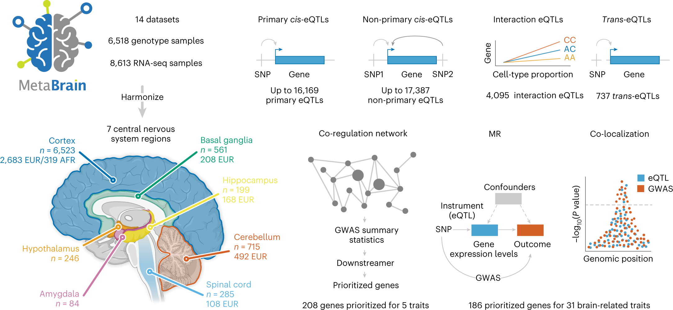 The GTEx Consortium atlas of genetic regulatory effects across