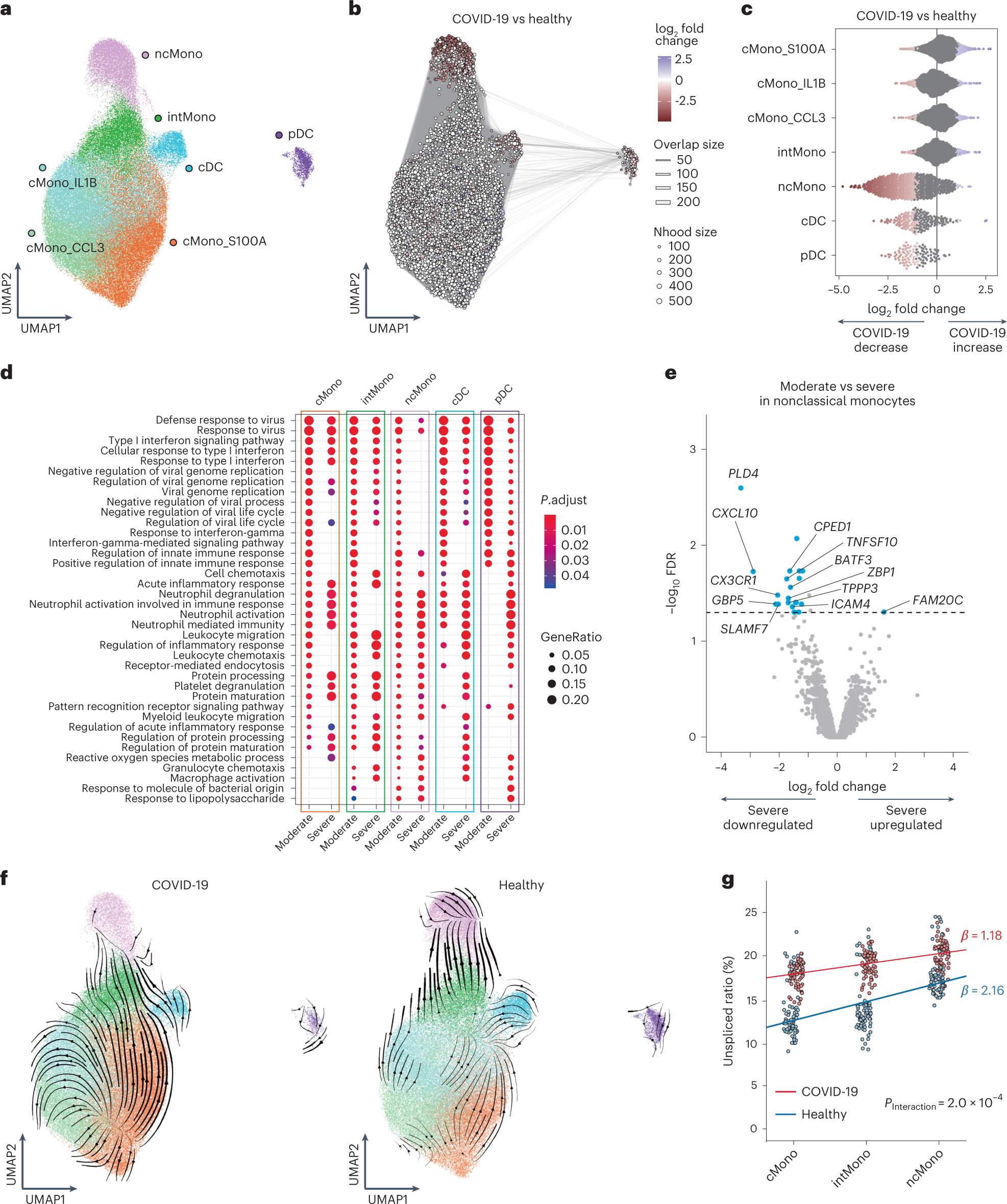 Fig. 2: Defective IFN-γ response and reduced transition potential to ncMono in monocytes of severe COVID-19.