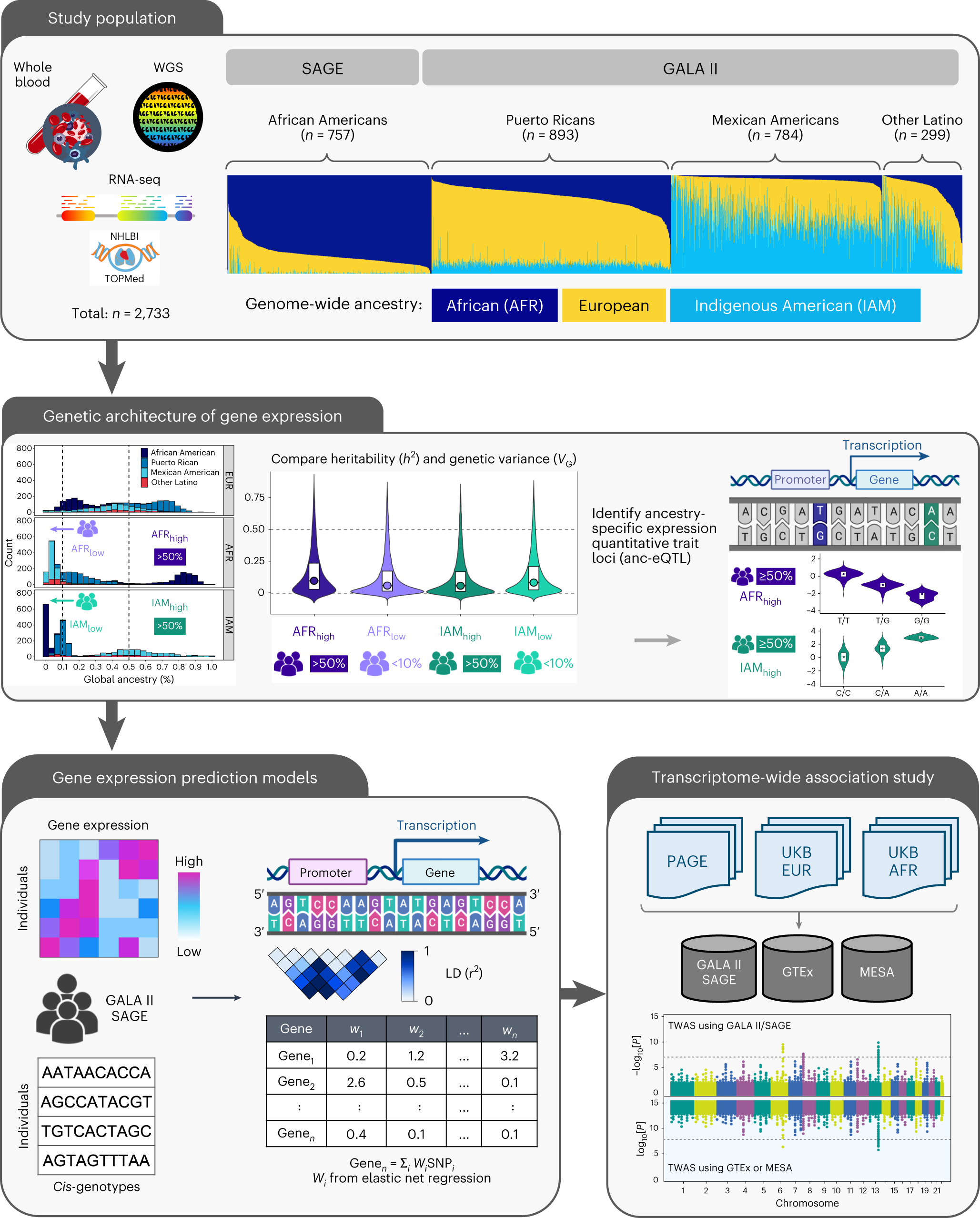 Transcriptomic signatures across human tissues identify functional rare  genetic variation