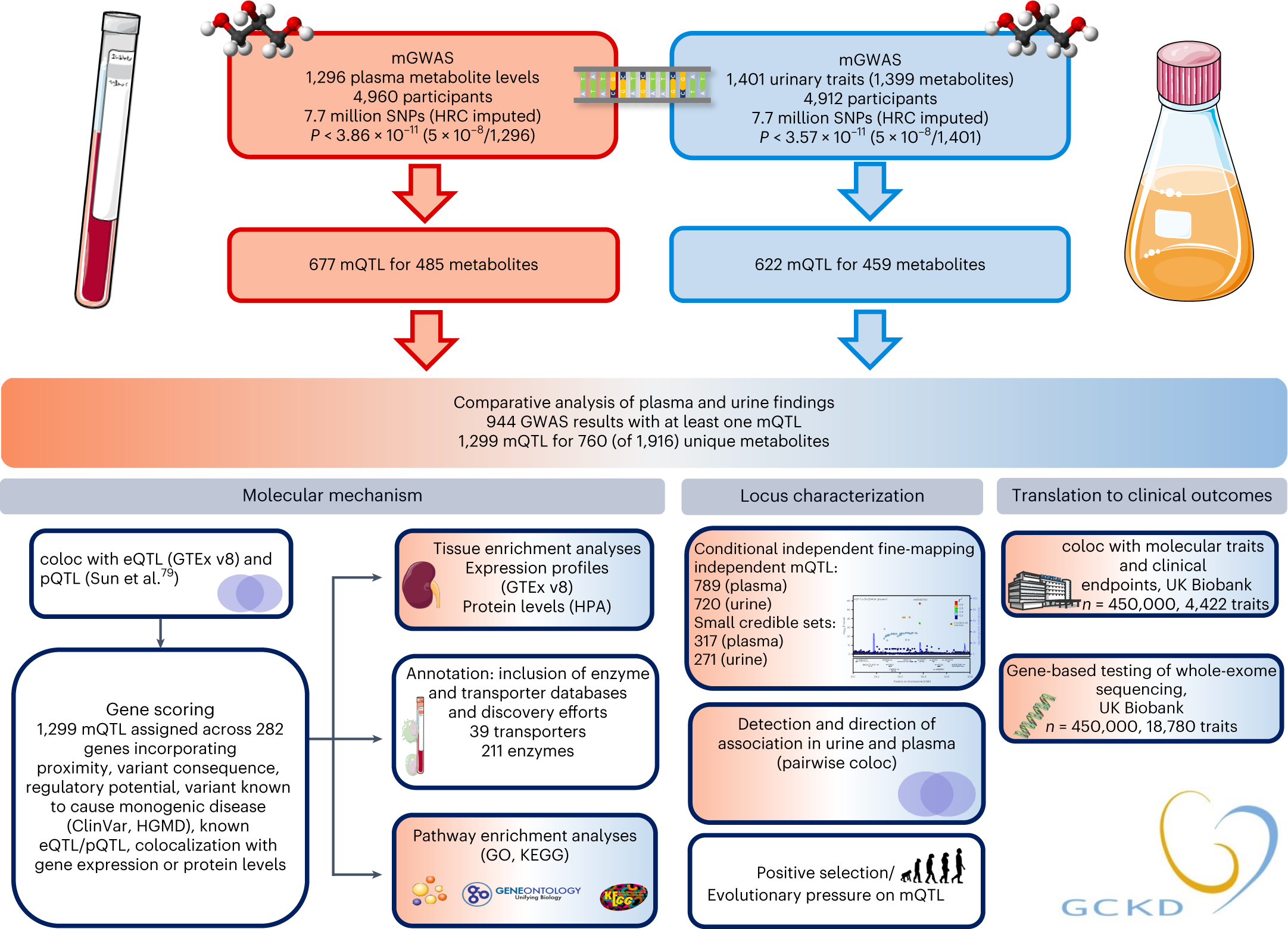 Fig. 1: Overview of the study design.