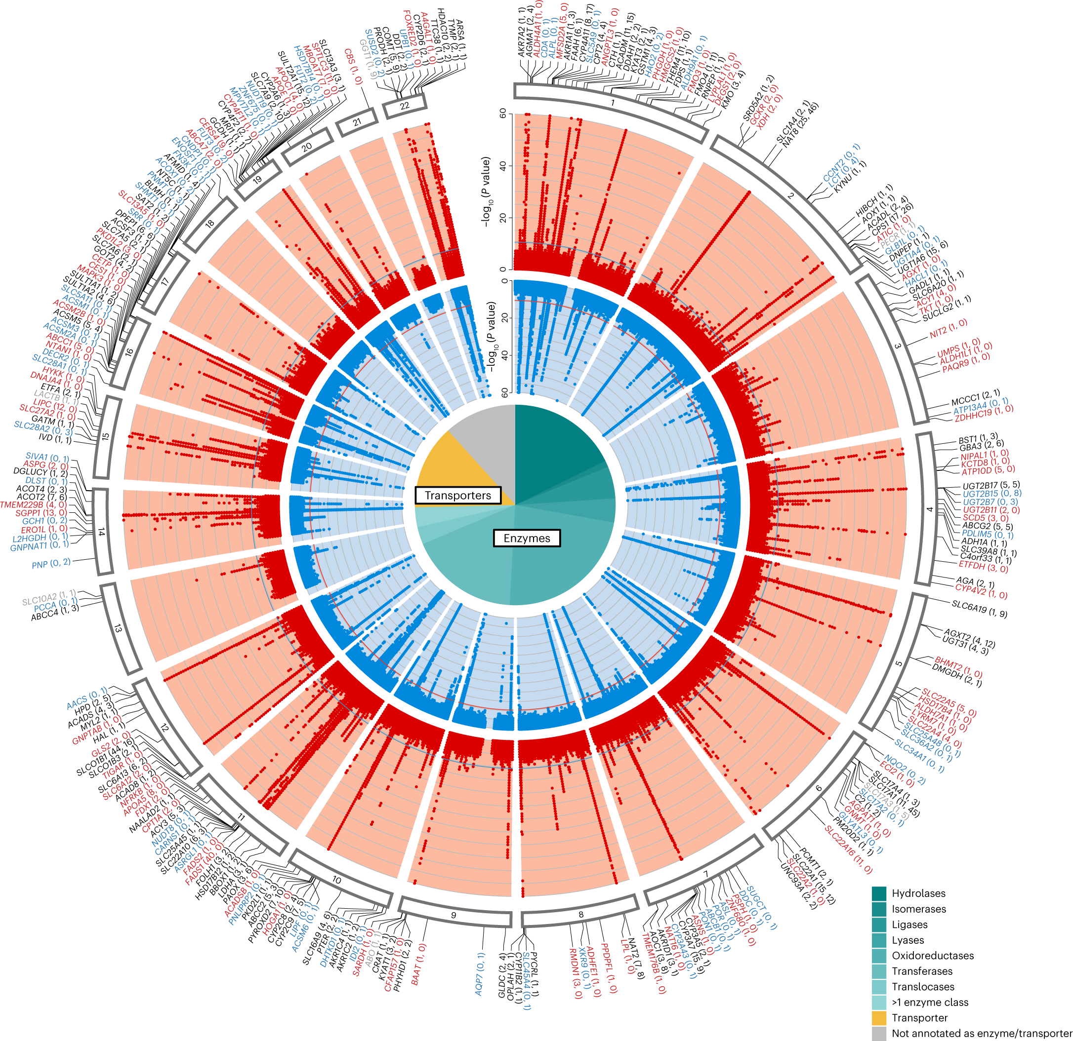 Fig. 2: Circular presentation of the 1,299 identified genetic associations with metabolite levels in plasma and urine.