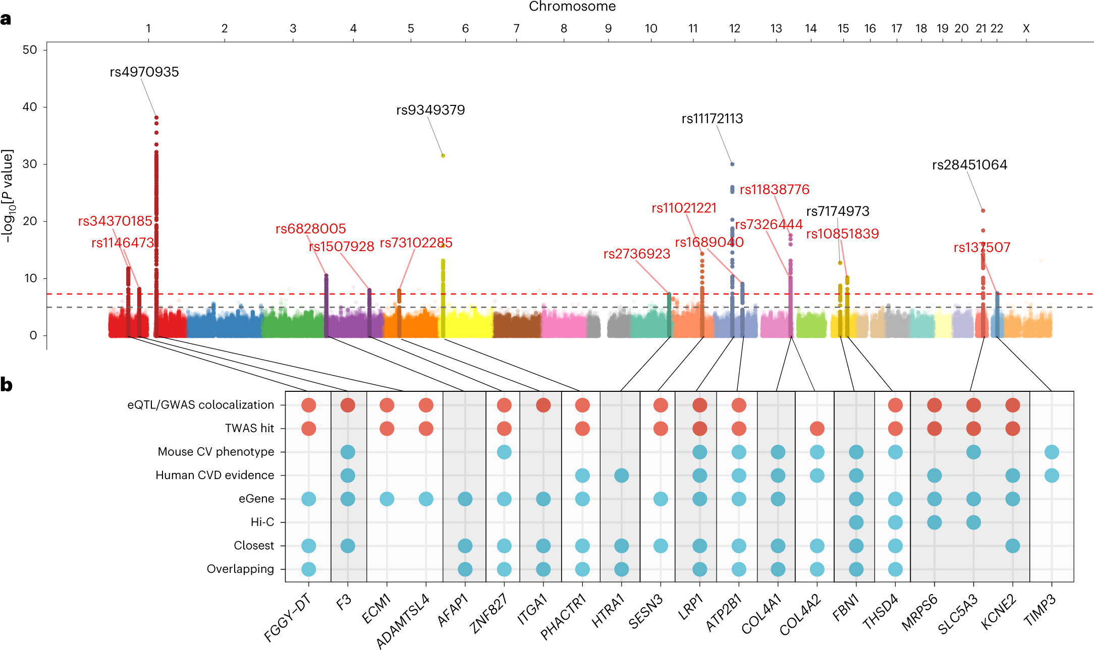 Fig. 1: GWAS meta-analysis main association results and gene prioritization at-risk loci.