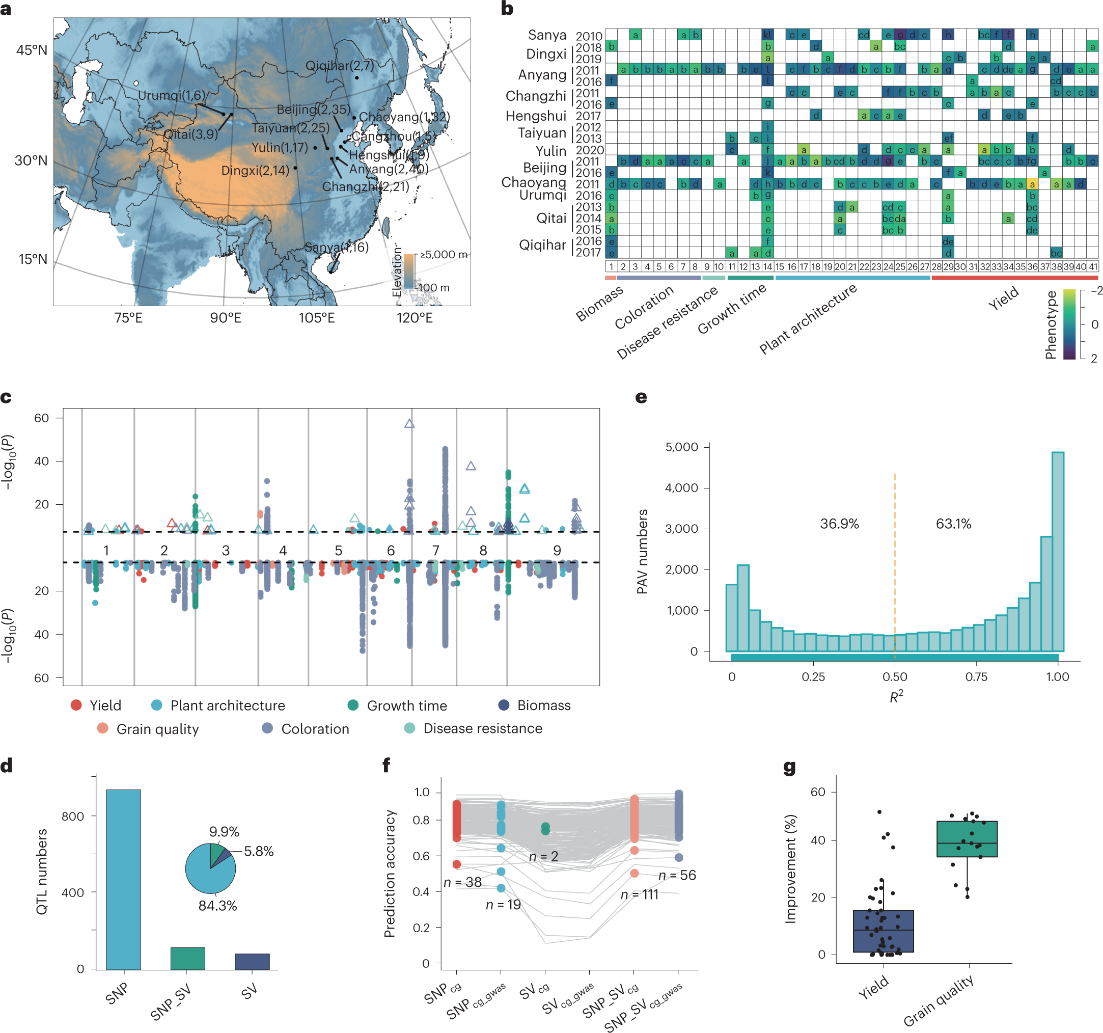Fig. 6: Large-scale GWAS and genomic prediction for 247 sets of phenotypes using SV and SNP markers.