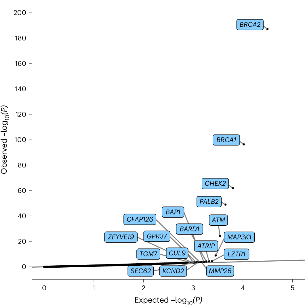 Fig. 2: Quantile–quantile plot of P values from the meta-analysis assessing the association between protein-truncating variant carriers and breast cancer risk.