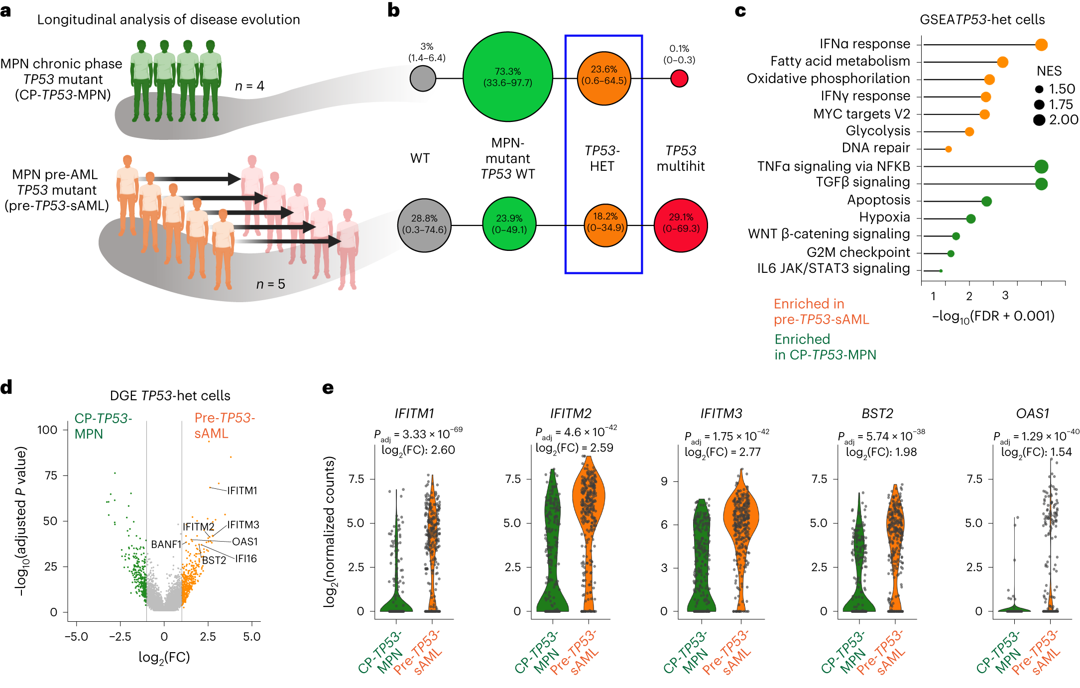 Fig. 4: Inflammatory pathways are upregulated in TP53-mutant HSPCs before transformation.