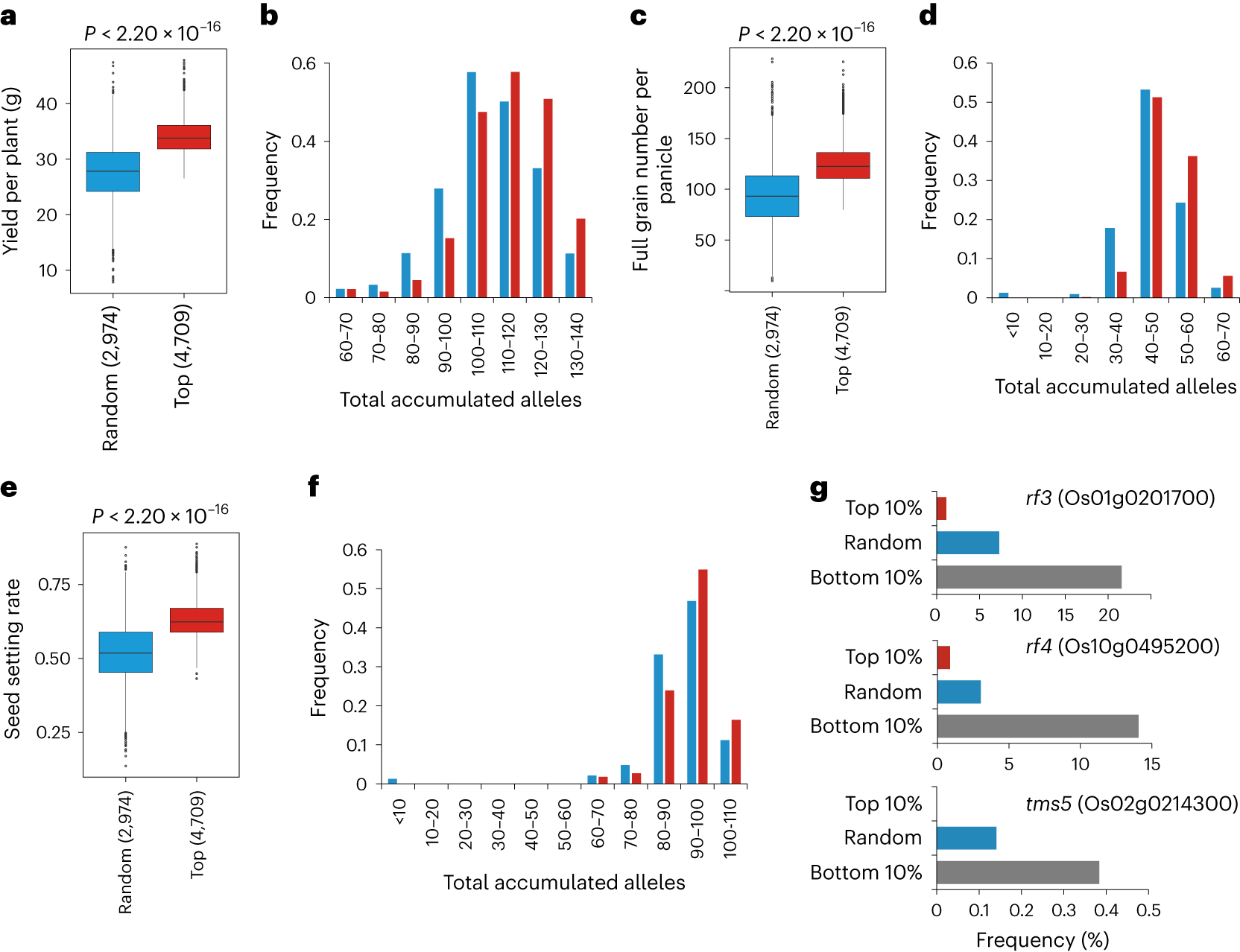 Fig. 6: Correlation between yield potential and the total accumulation of breeding-favorable loci.