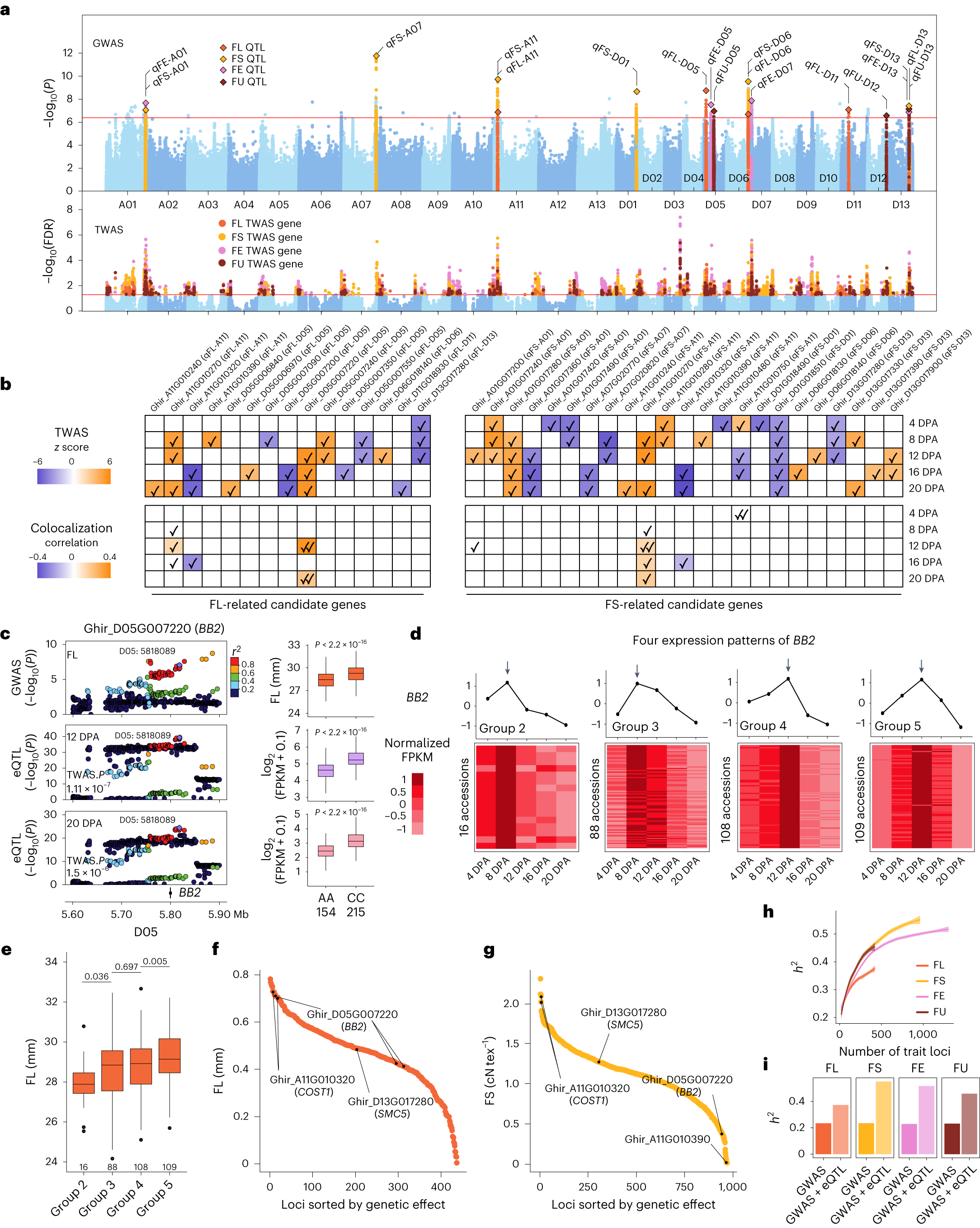 Fig. 2: Fine-mapping of fiber quality associations.