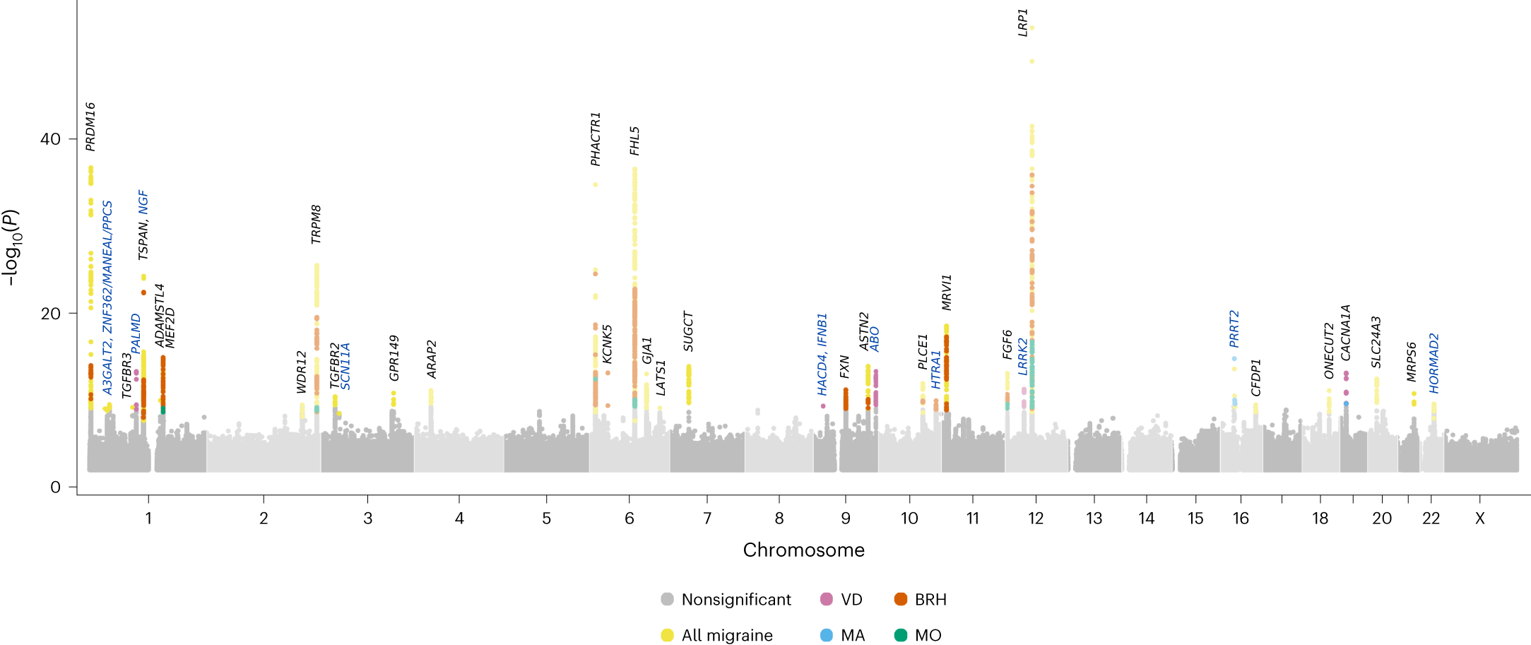 New insights into genetic variant spectrum and genotype–phenotype