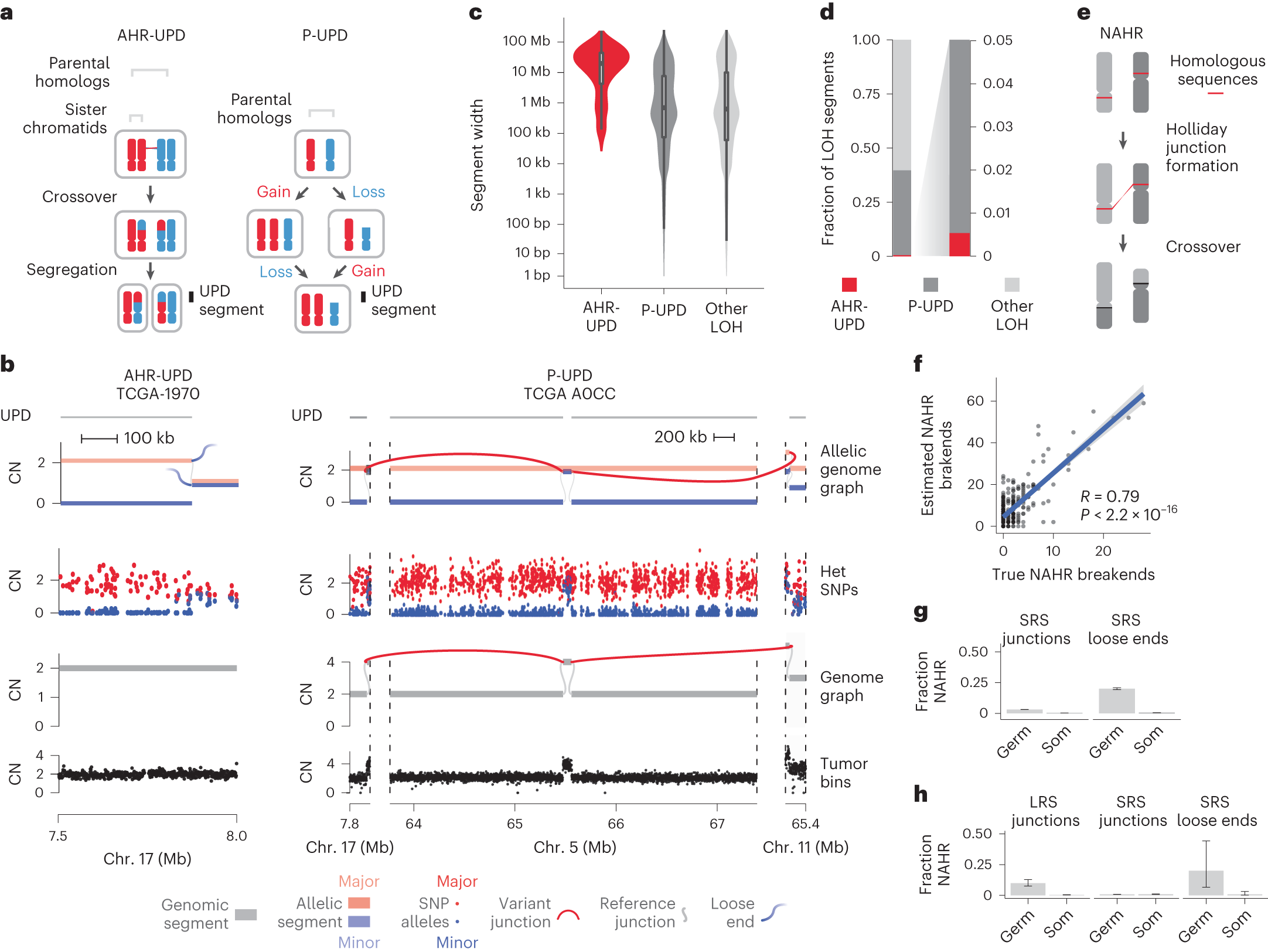 Fig. 4: AHR rarely drives CN-mappable breakends.
