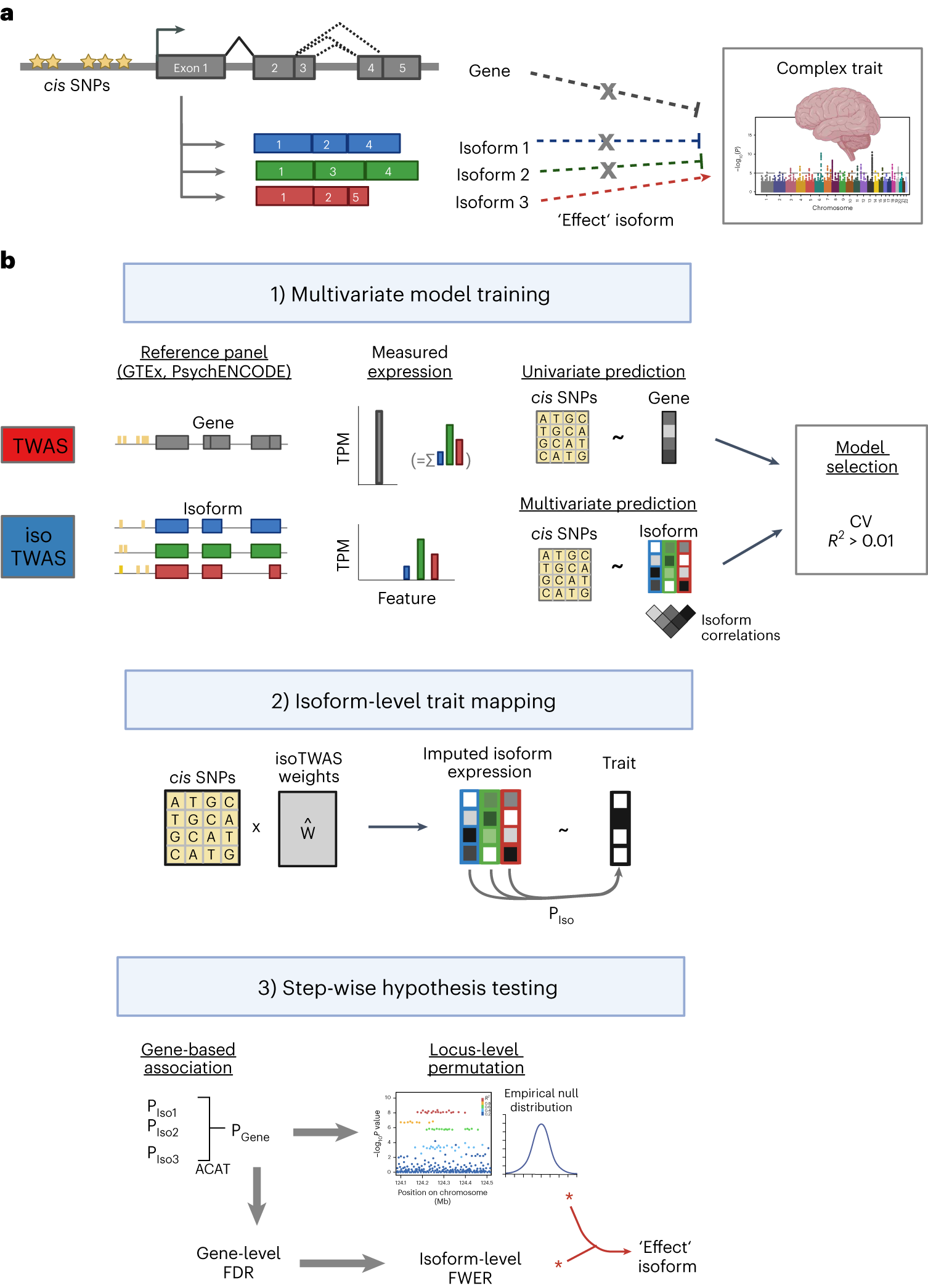 Isoform-level transcriptome-wide association uncovers genetic risk mechanisms for neuropsychiatric disorders in the human brain