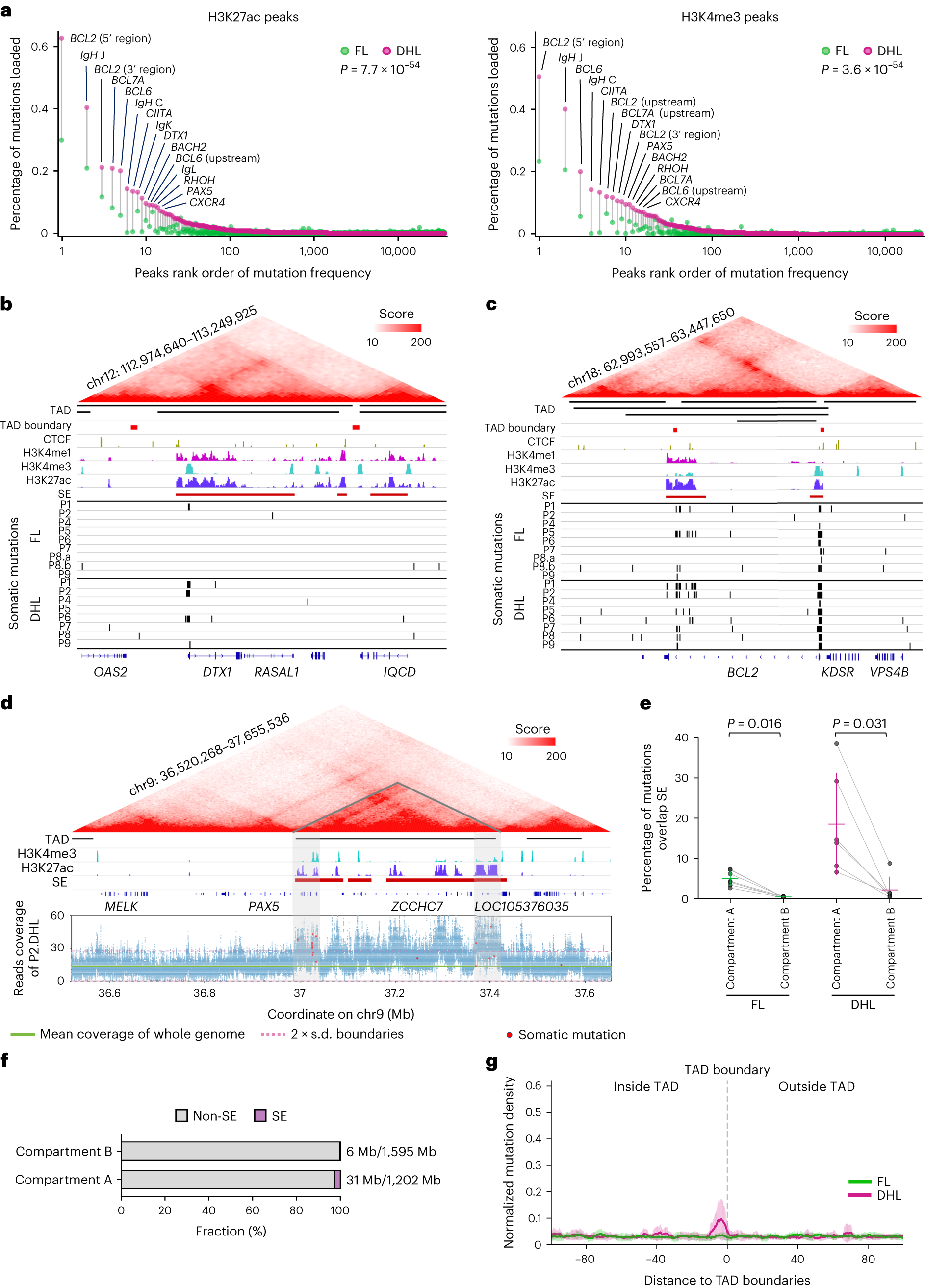 Fig. 5: Enrichment of transformation-specific mutations at boundaries of topologically associating domains.