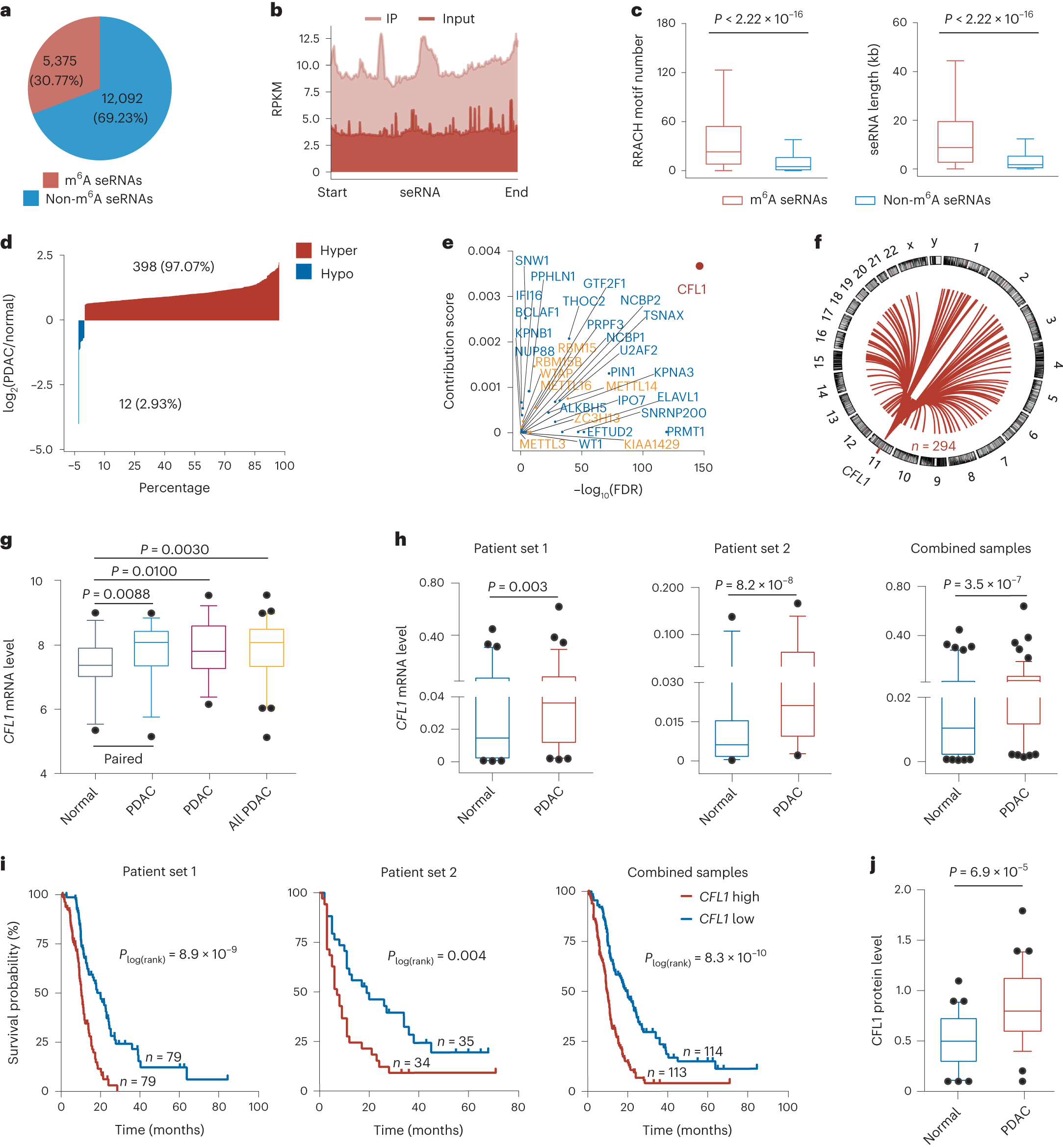 Super-enhancer RNA m6A promotes local chromatin accessibility and oncogene  transcription in pancreatic ductal adenocarcinoma | Nature Genetics