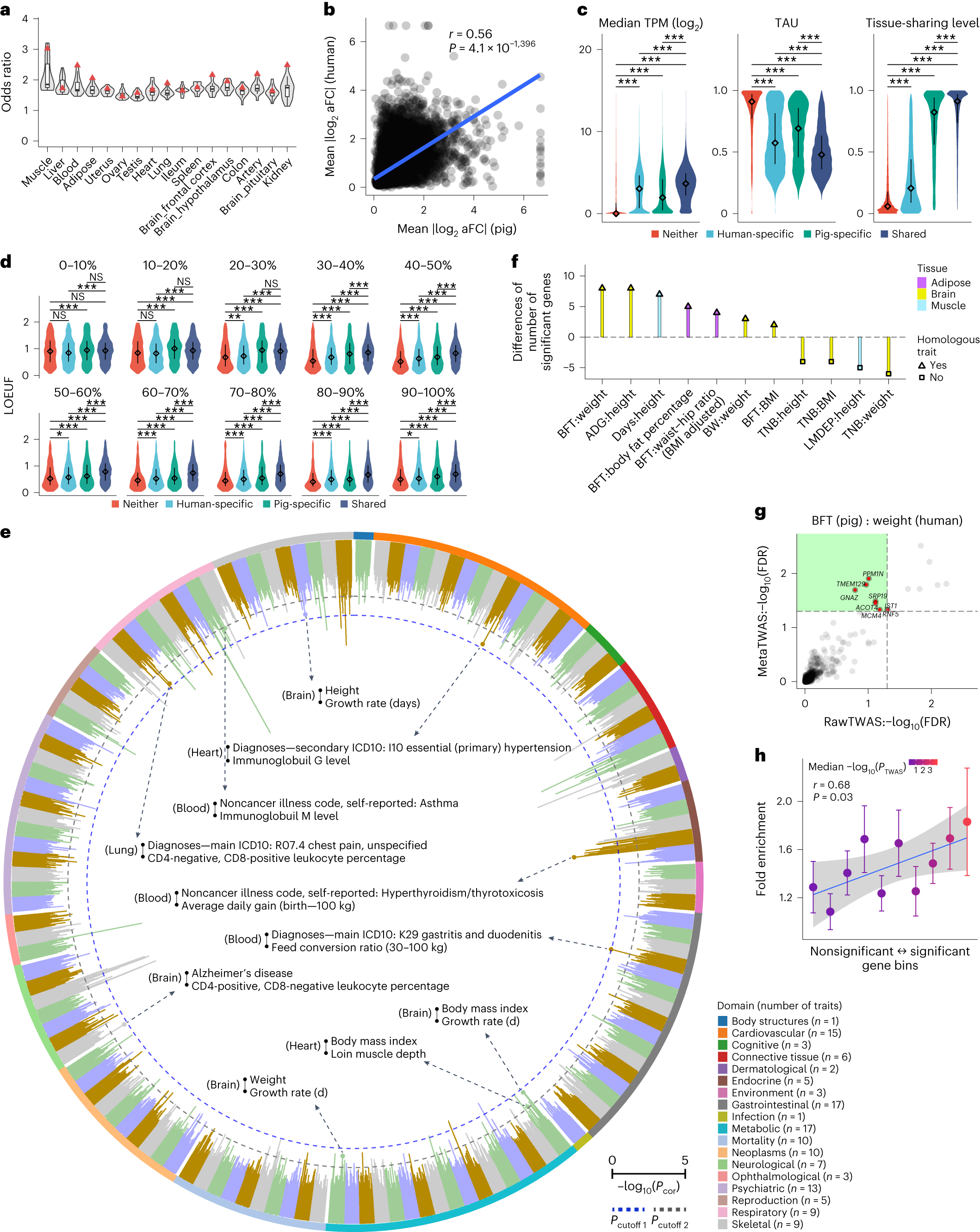 Fig. 6: Conservation of gene expression, cis-eQTL and complex trait genetics between pigs and humans.