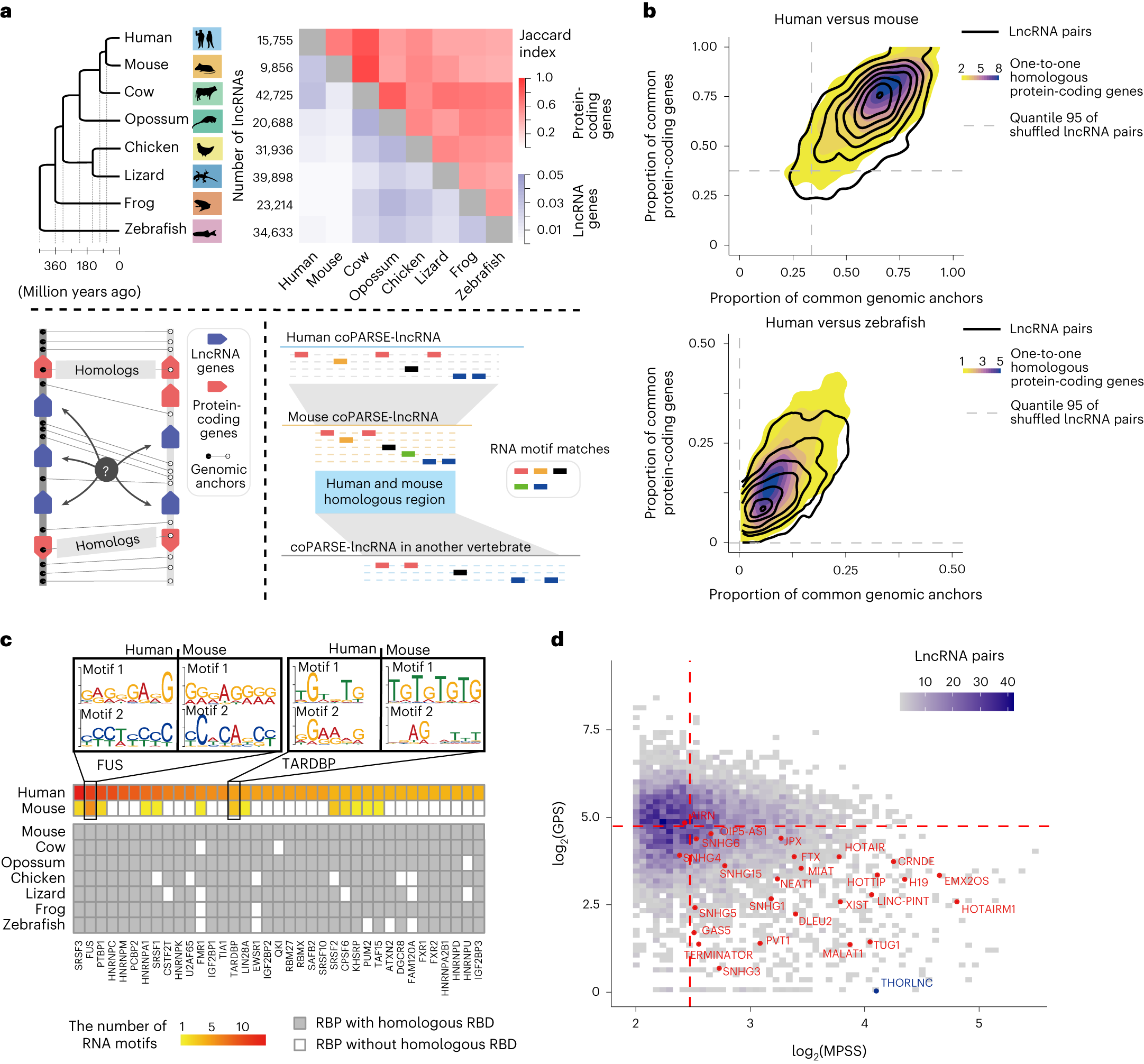 https://media.springernature.com/full/springer-static/image/art%3A10.1038%2Fs41588-023-01620-7/MediaObjects/41588_2023_1620_Fig1_HTML.png
