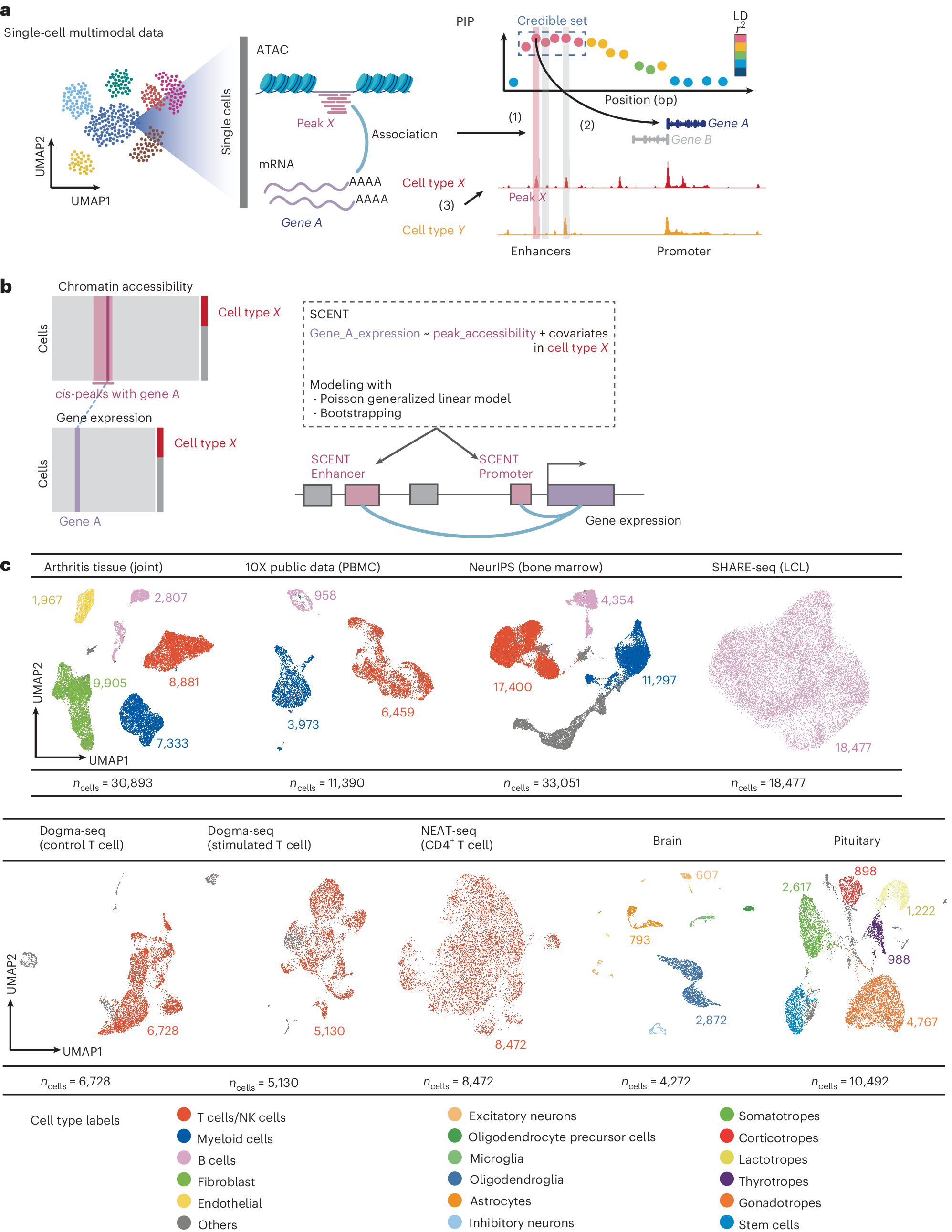 17400A-6-1-2-KK 17400A-6-1-2 コーケン Ko-ken 1.1/2インチsq インパクトソケット 6.1/2インチ SP店 The role of monocyte chemoattractant protein-1 (MCP-1) as an