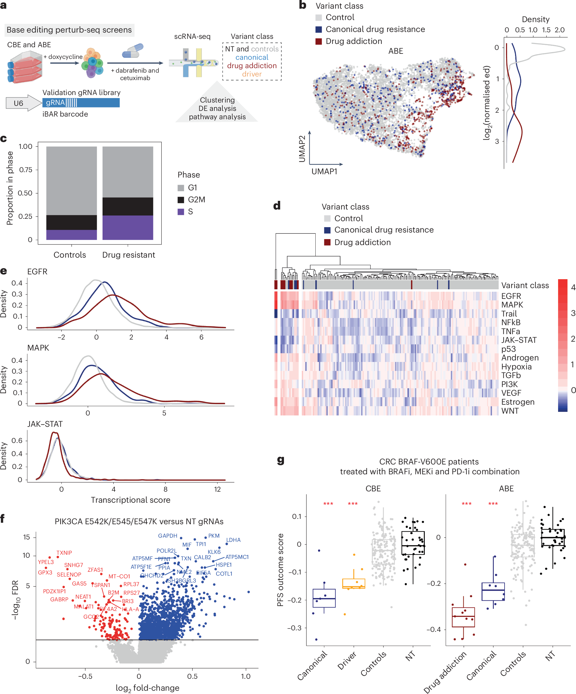 Fig. 7: Perturb-seq functionally defines drug-resistant cell states.