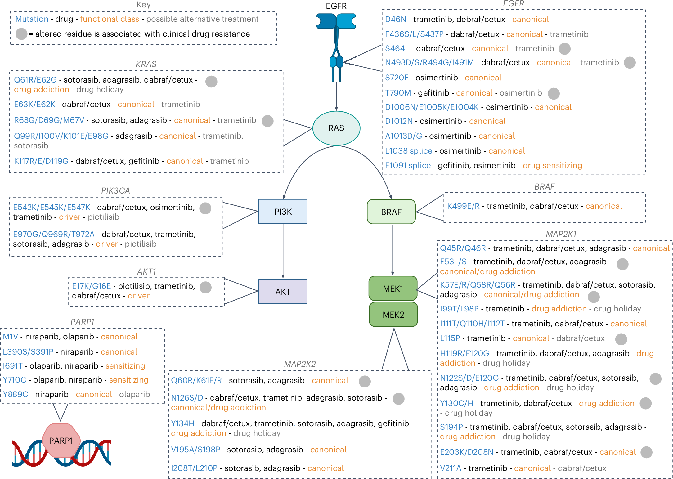 Fig. 8: A variant map indicates potential second-line therapies.