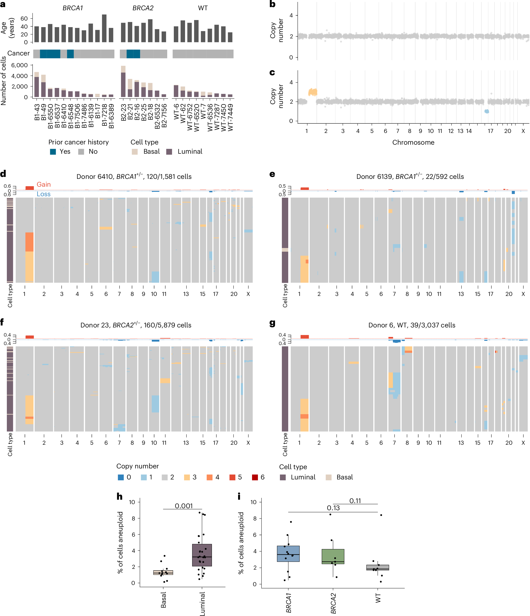 健康な細胞のがん様変異が乳がんの起源を示唆(Cancer-like mutations in healthy cells point to origins of breast cancer)