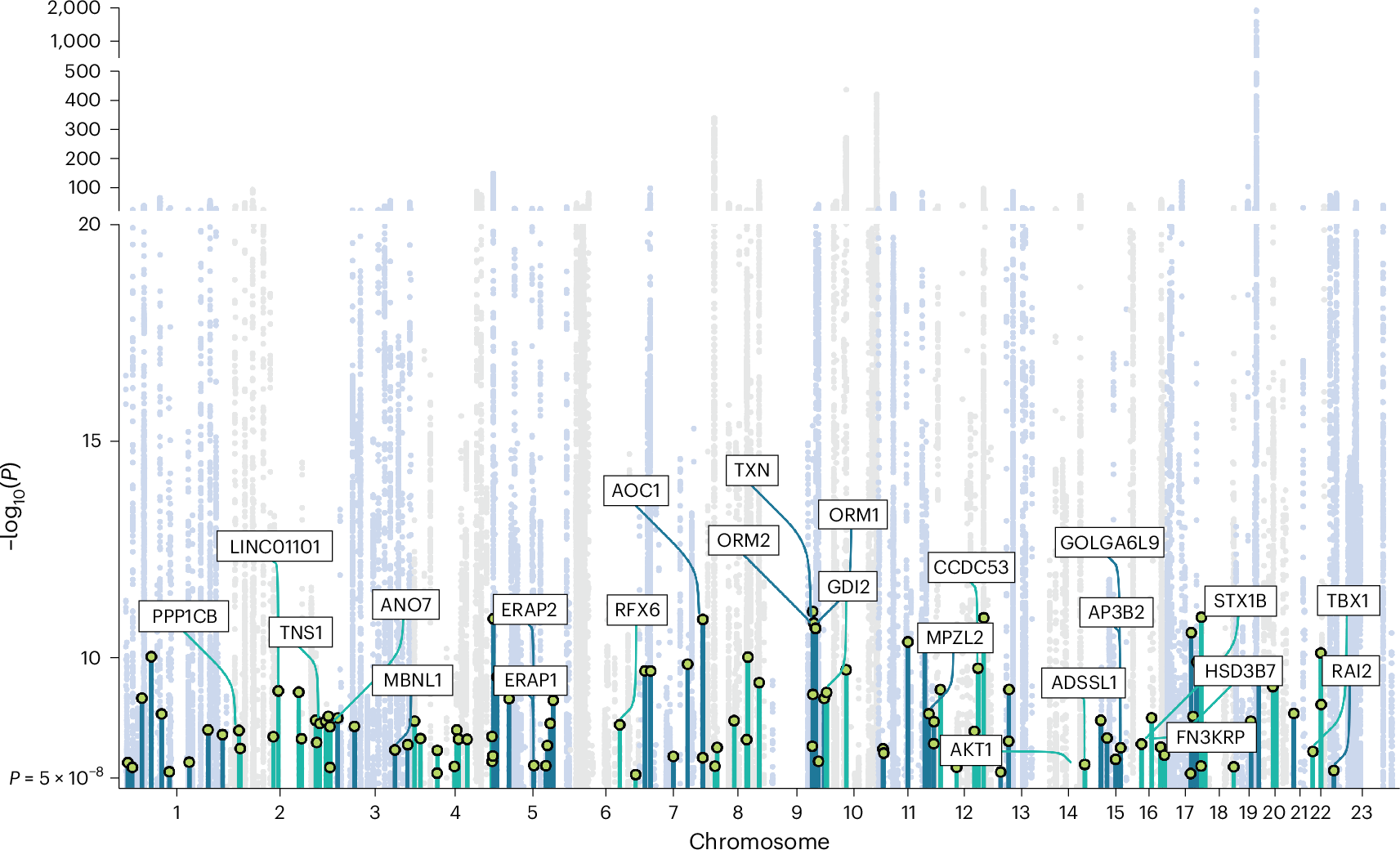 Fig. 3: Joint multiancestry meta-analysis of the discovery and replication cohorts.