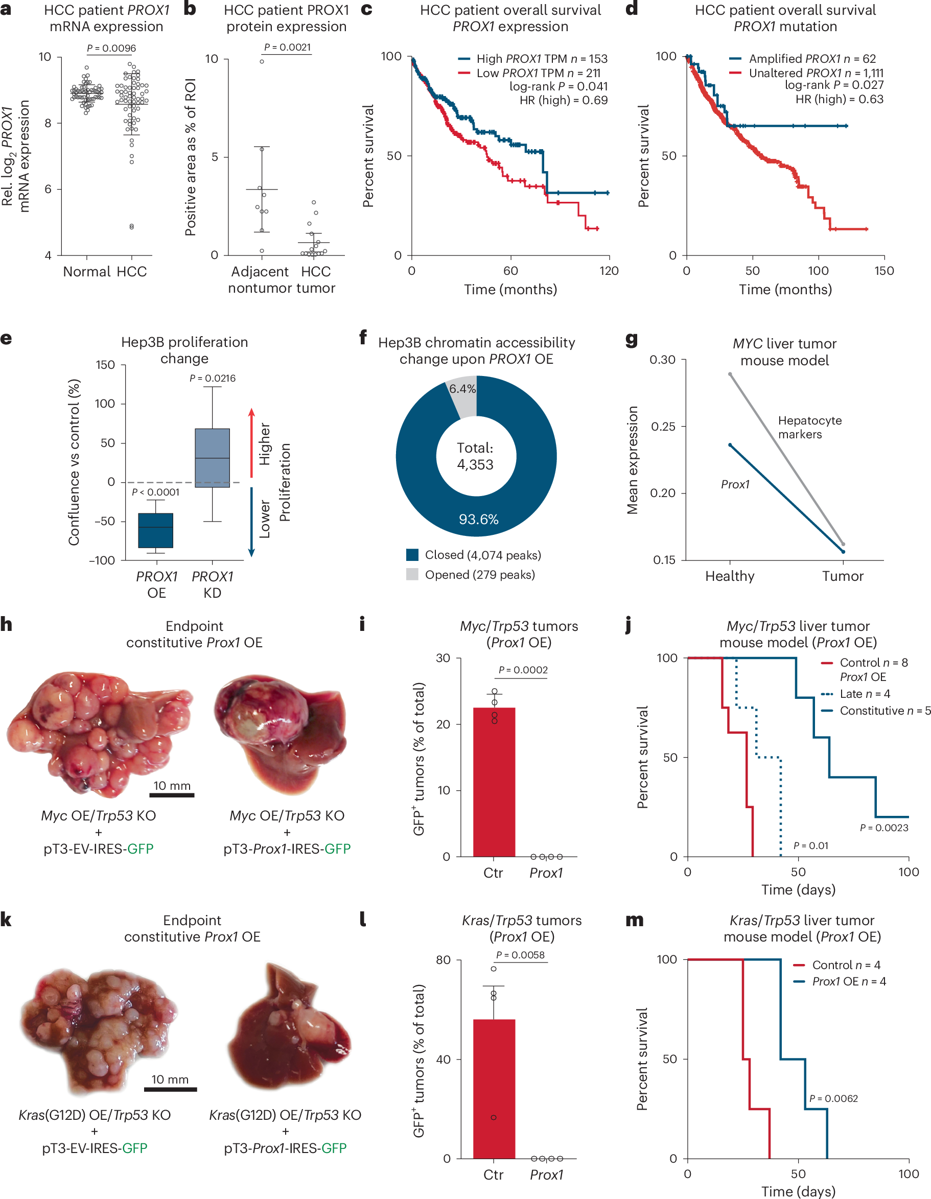 Fig. 2: PROX1 suppresses liver cancer formation and progression.