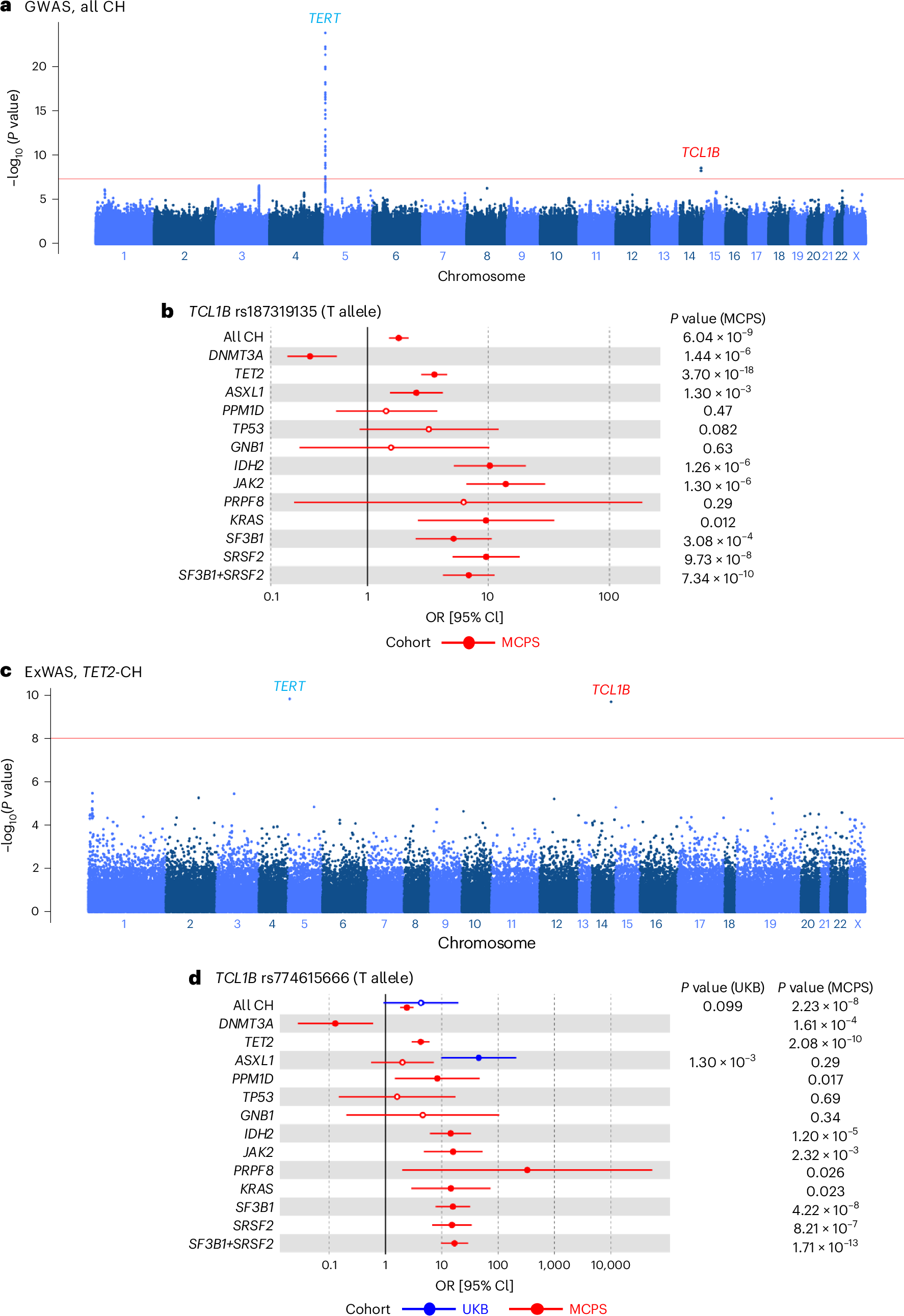 Fig. 4: GWAS and ExWAS of all CH and gene-specific CH in the MCPS.