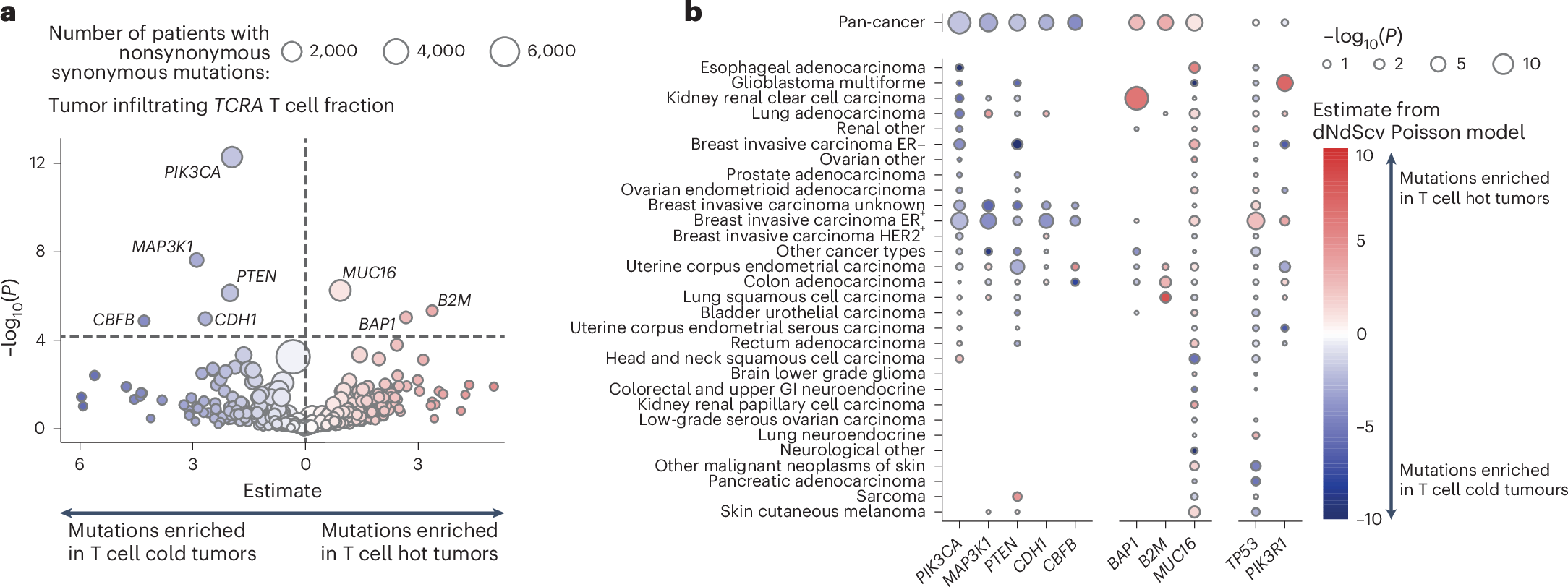 Fig. 4: Association of selection with infiltrating T cell fraction.