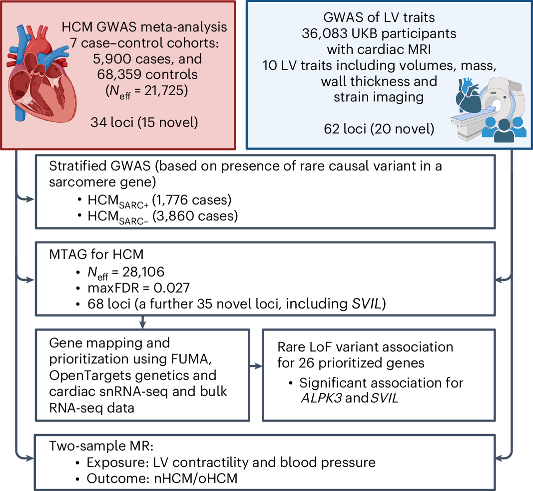 Fig. 1: Study flowchart.