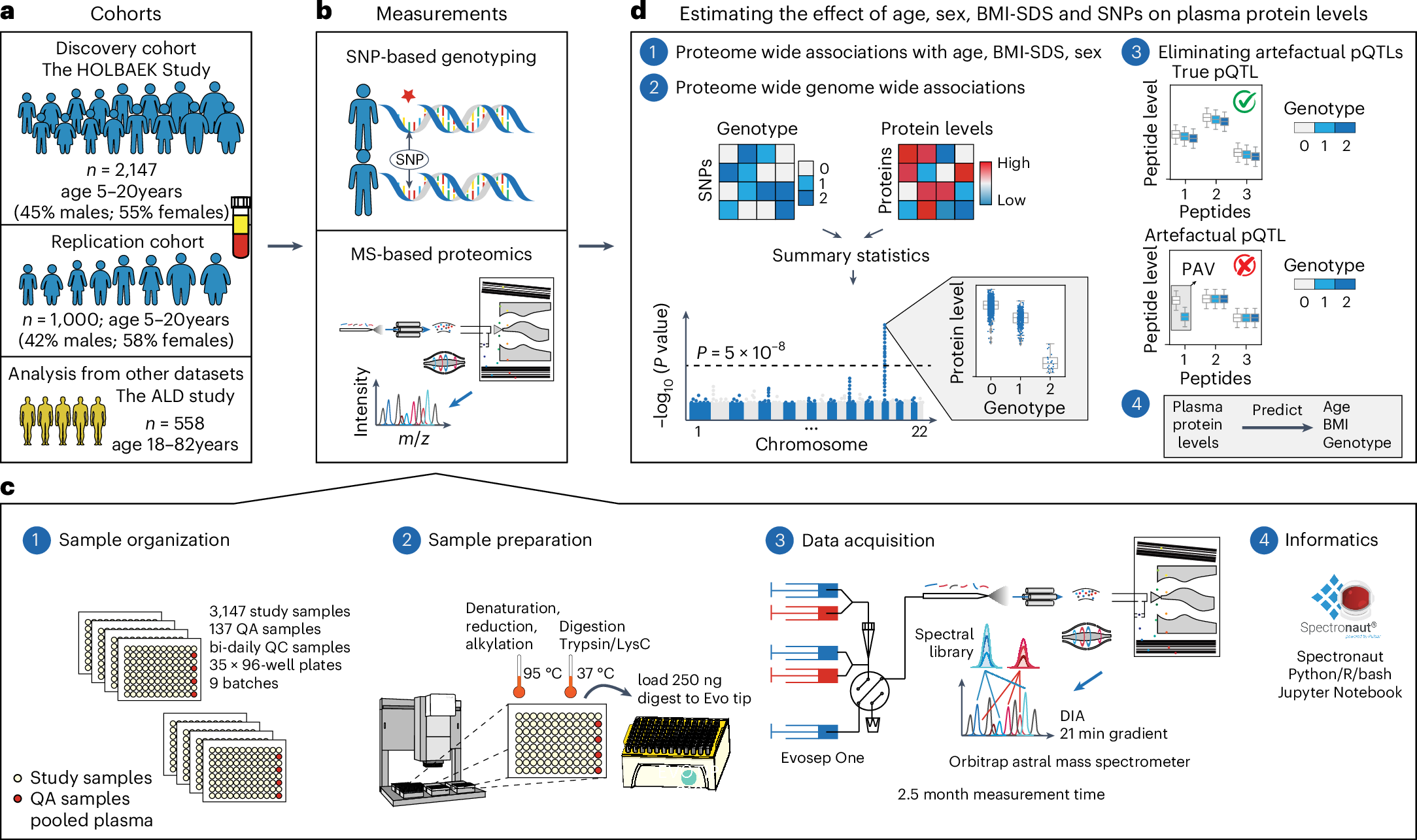 Fig. 1: Study overview and proteomics workflow.