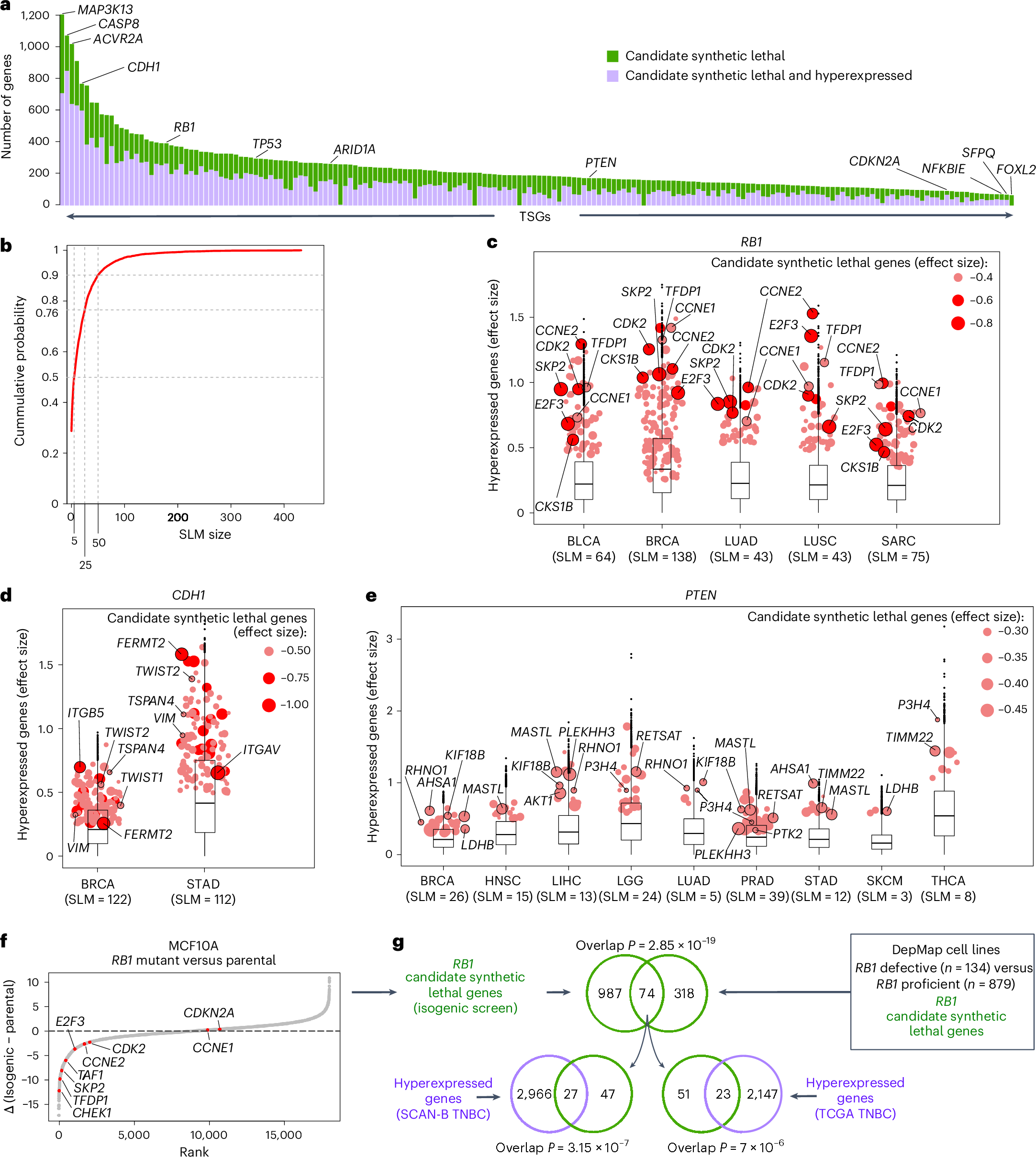 Fig. 2: Pan-cancer summary of SLMs and validation in an isogenic screen.