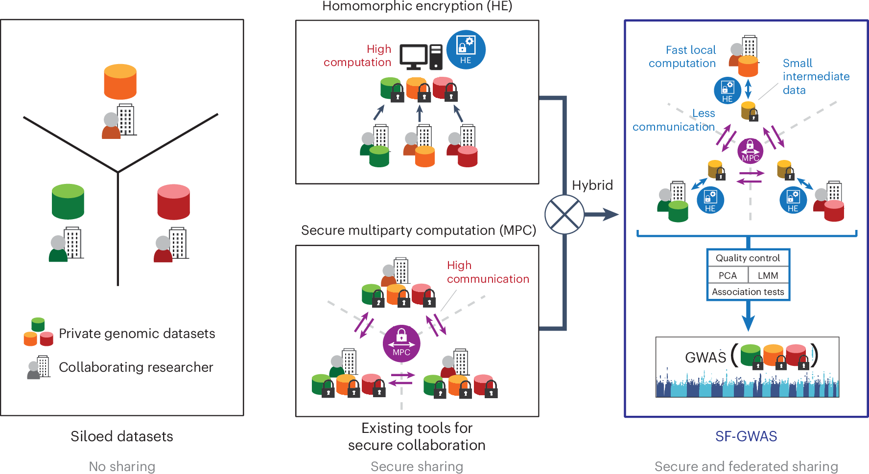 ゲノム研究のための新しい暗号技術フレームワーク(A New Cryptography Framework for Secure Genomic Studies)