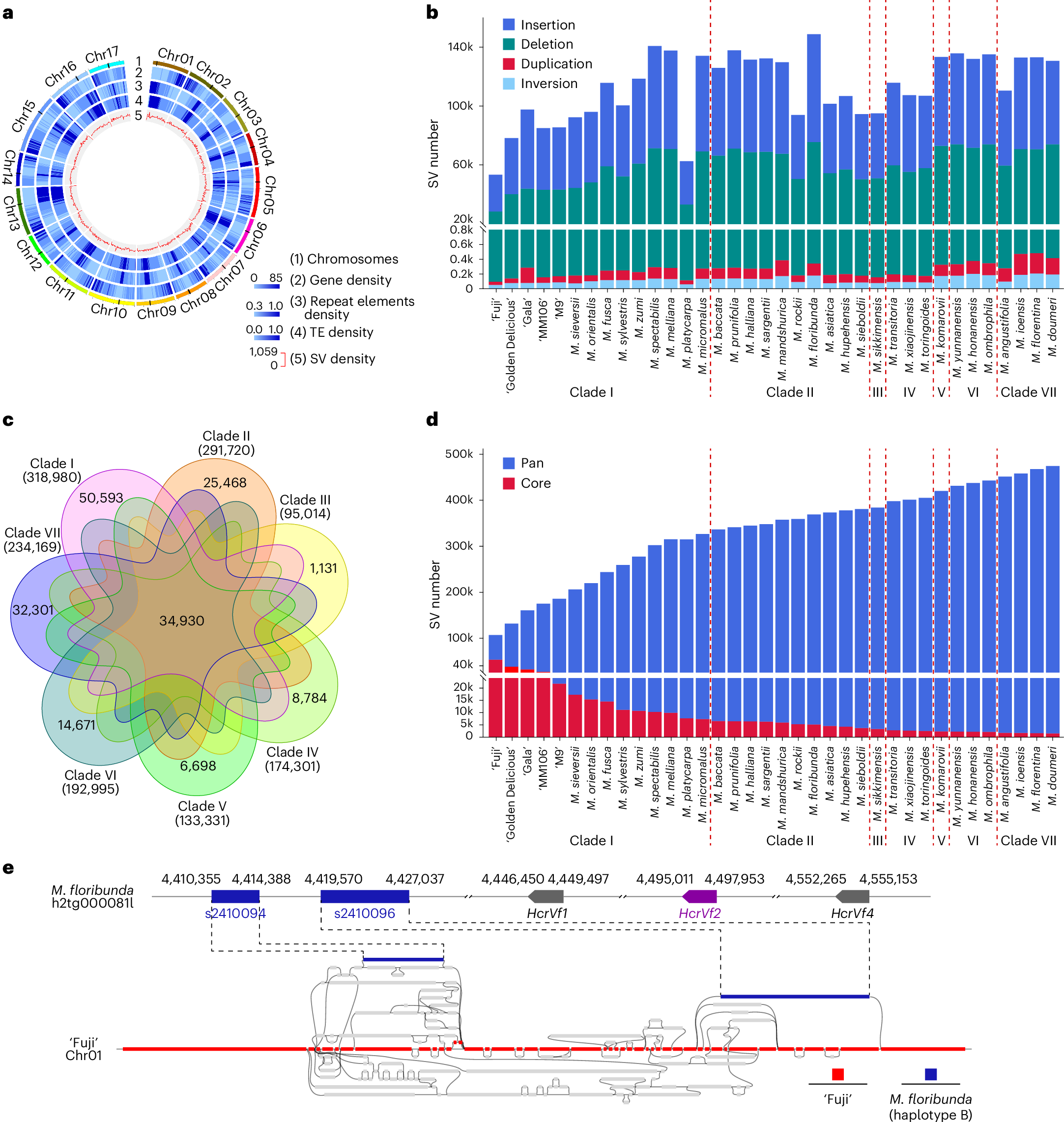 Fig. 4: Genetic SVs of Malus pan-genome.