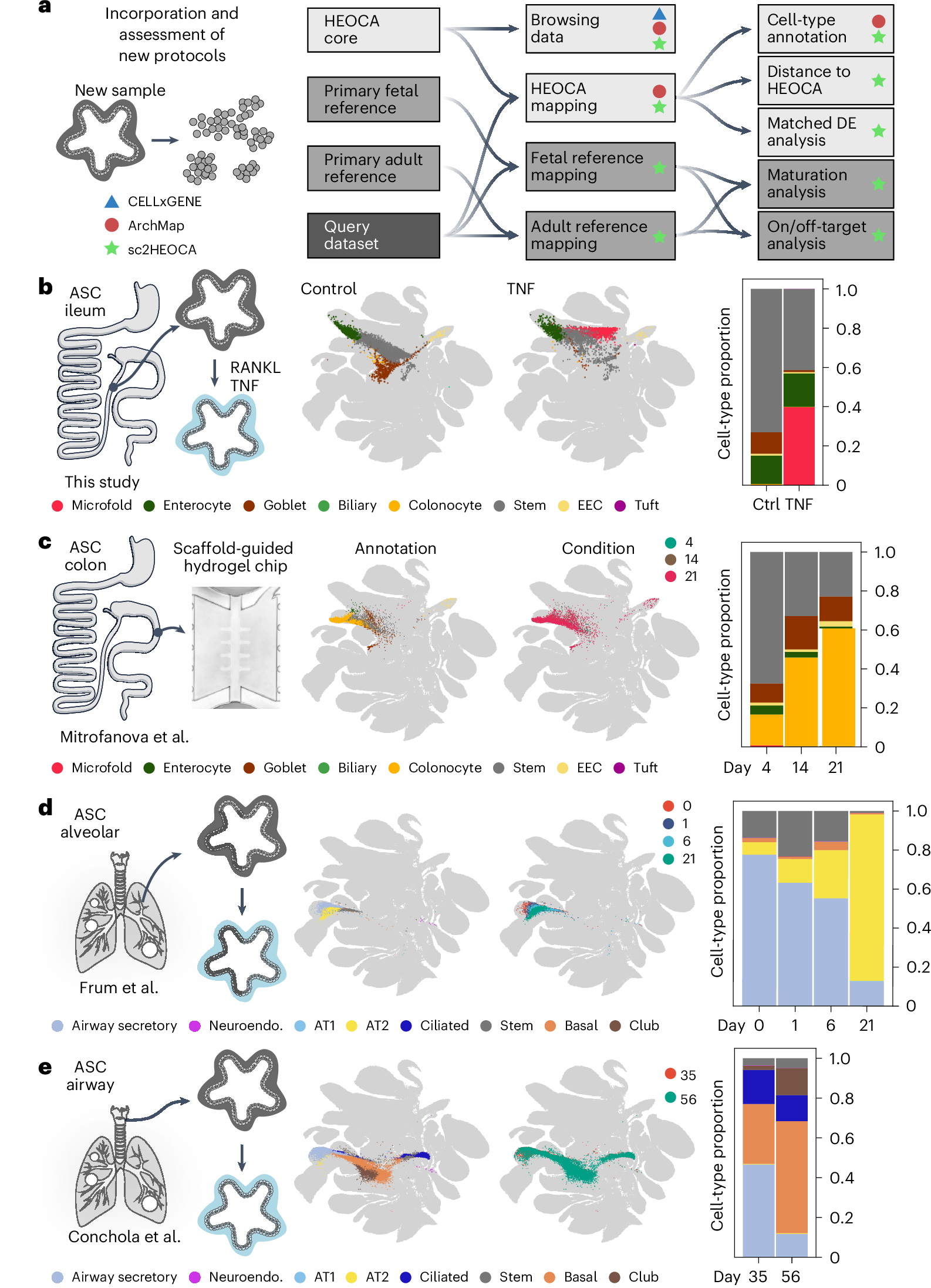 Fig. 5: The integrated atlas enables protocol assessment and can be extended via dataset projection.