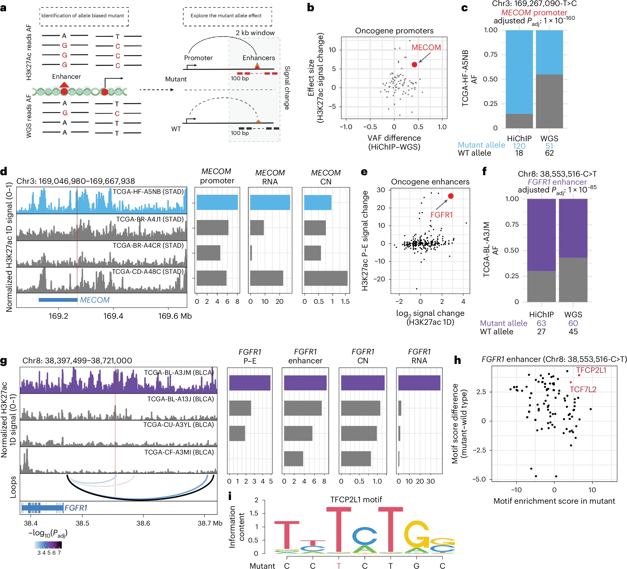 Fig. 4: Integration of WGS and HiChIP identifies cancer-relevant regulatory mutations and target genes.
