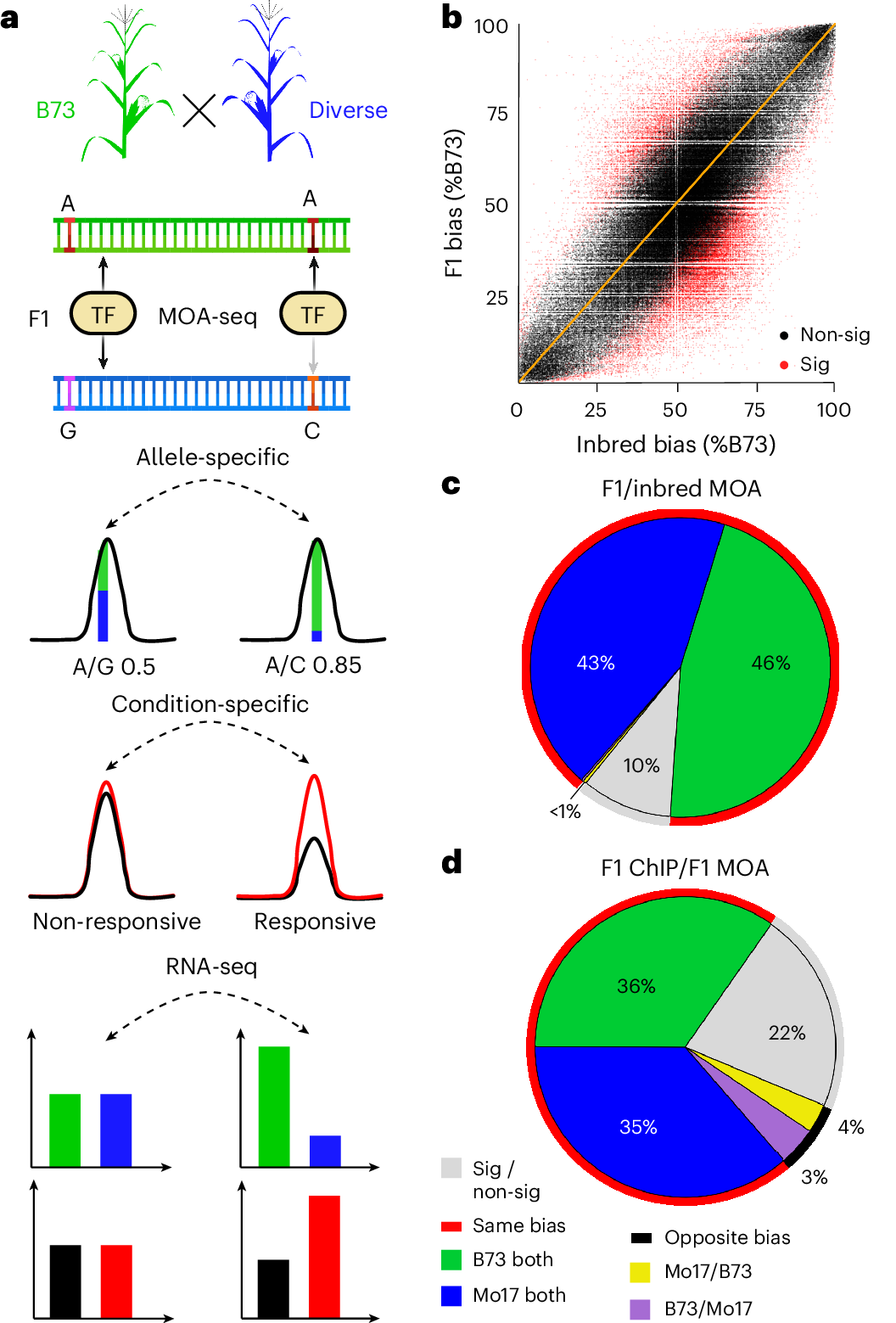 環境適応性を高める遺伝子スイッチを解明(Genetic switches for adaptability)