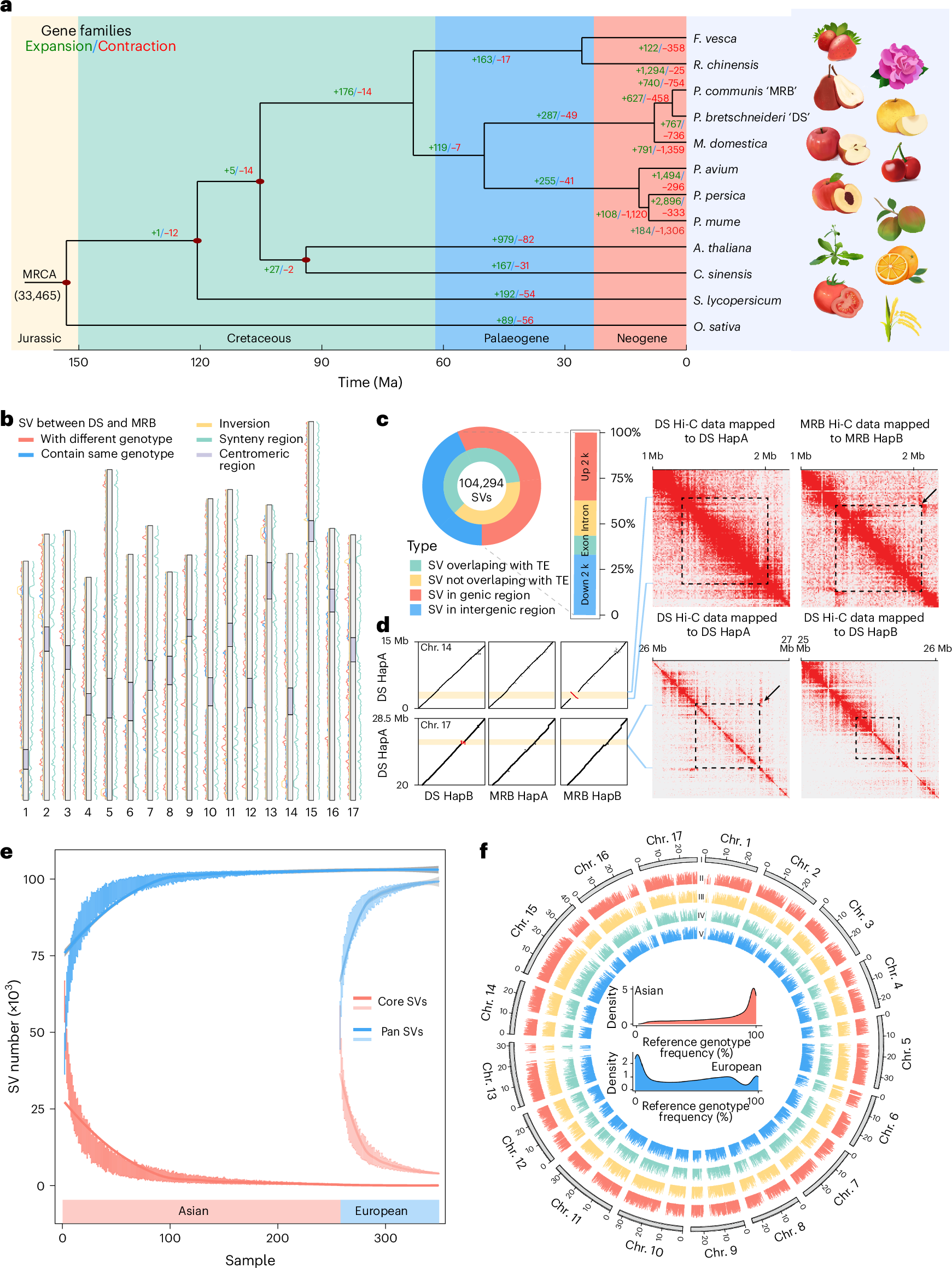 Fig. 3: Divergence and SVs between DS and MRB.