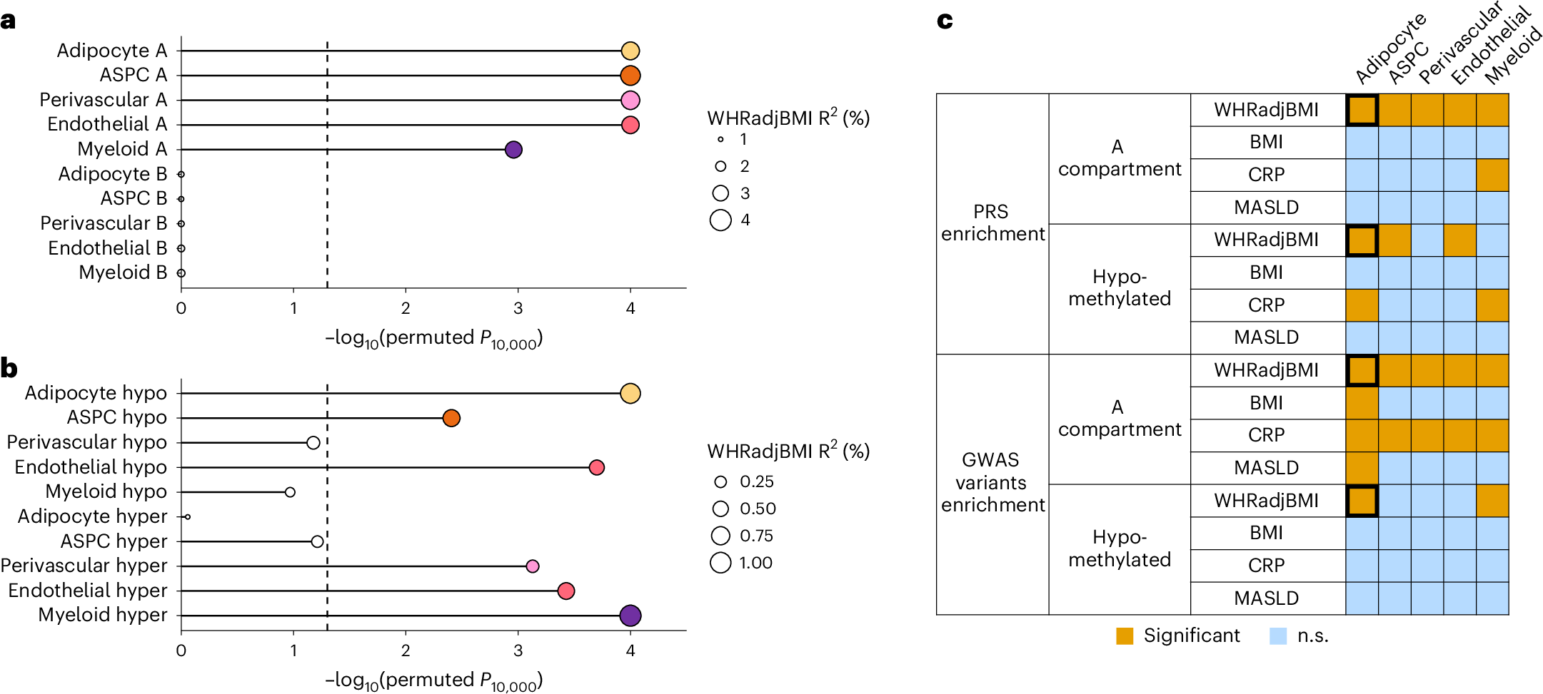 Fig. 6: Partitioned PRS and GWAS enrichment results for four key cardiometabolic traits, stratified by cell-type-level DMRs and compartments.