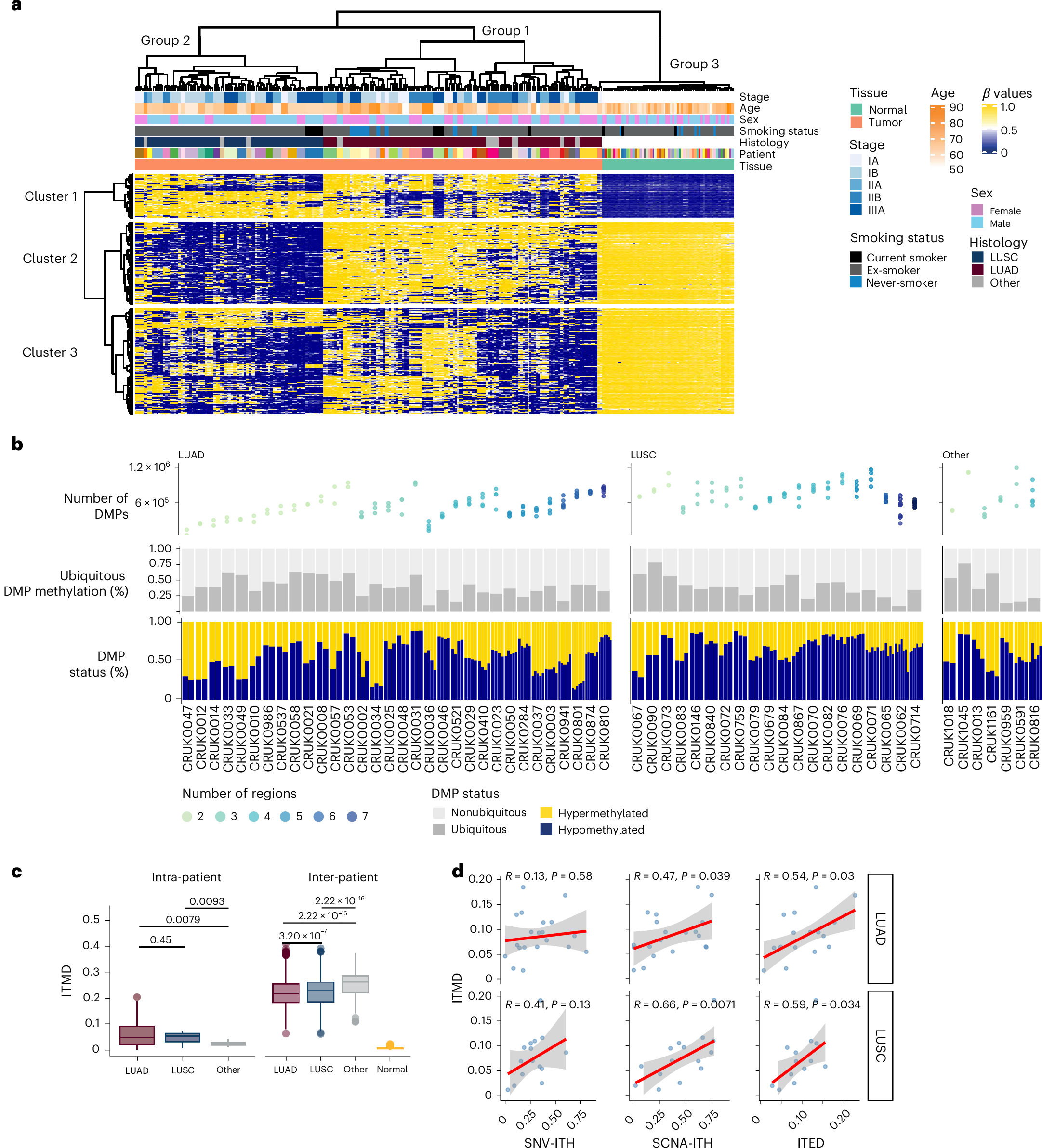 Fig. 1: Global DNA methylation landscape in the TRACERx lung cancer study.