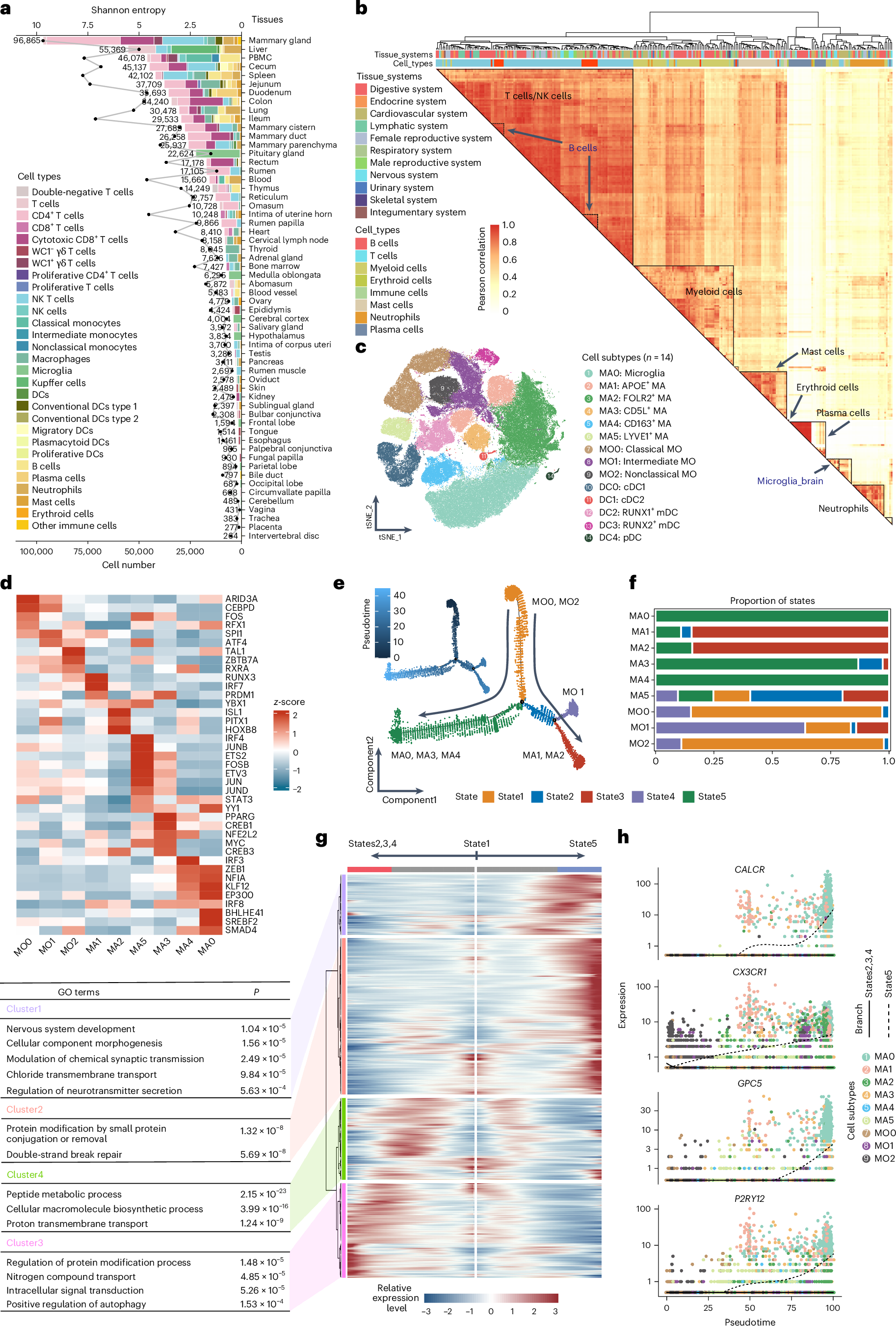 Fig. 3: Heterogeneity of immune cells across cattle tissues.