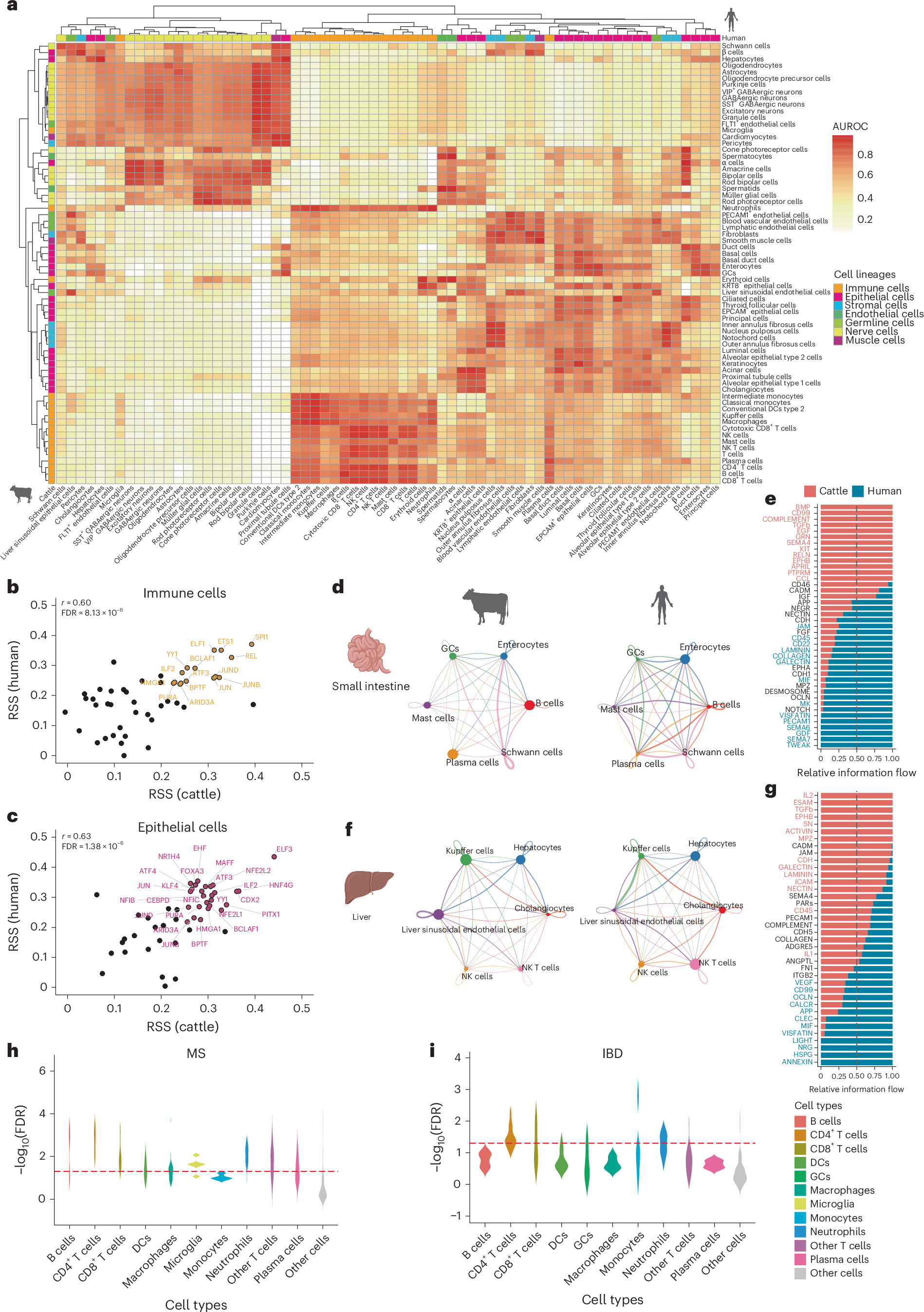 Fig. 8: Cross-species comparisons and disease associations.