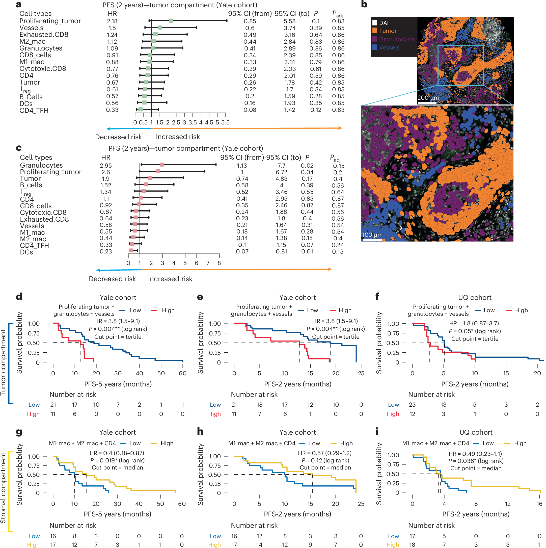 Fig. 3: Spatial cell-type signatures using PCF proteomics for resistance and response.