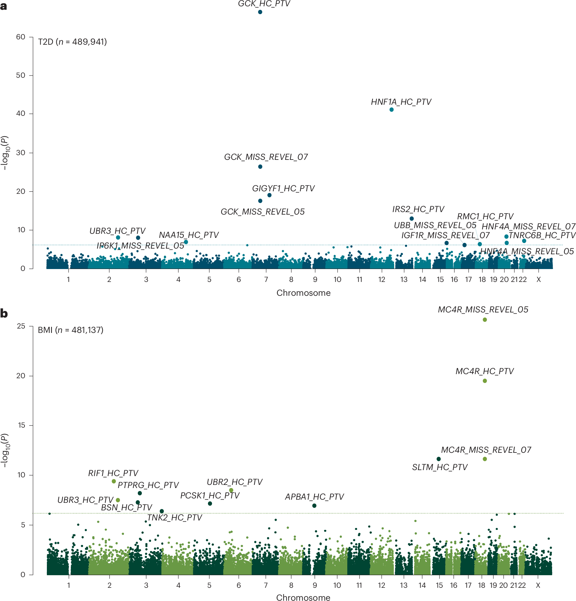 Fig. 1: Genome-wide multi-ancestry gene-burden test for T2D and BMI in UKBB.